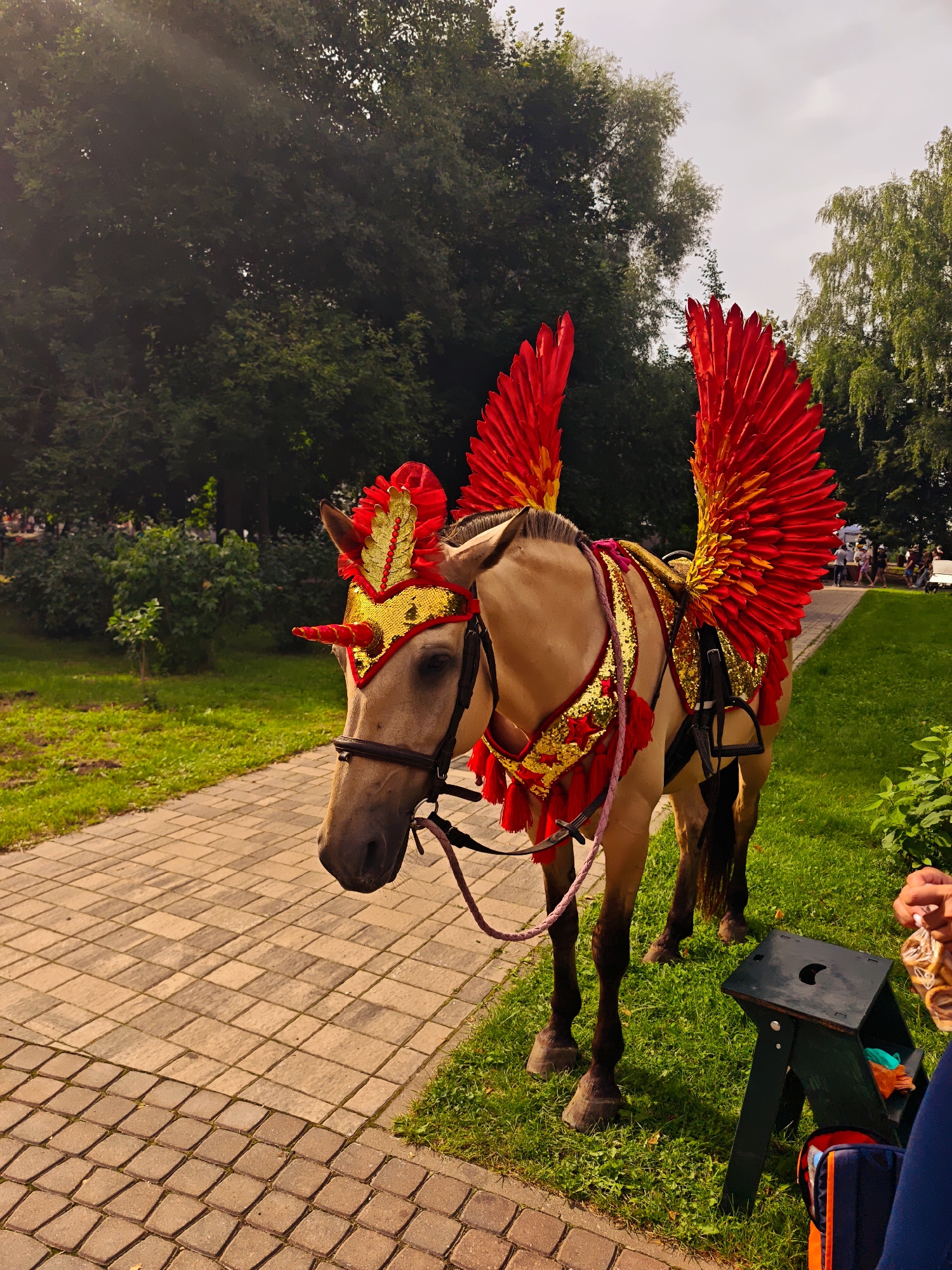 Costumed horses on display at a Dubna park attraction