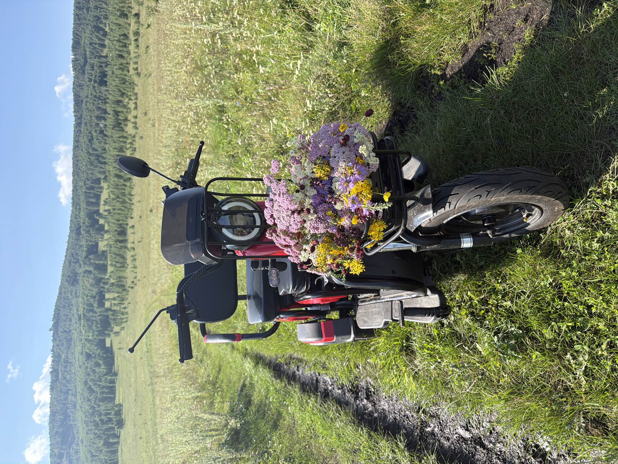 Wildflower haul on an e-scooter, somewhere sunny