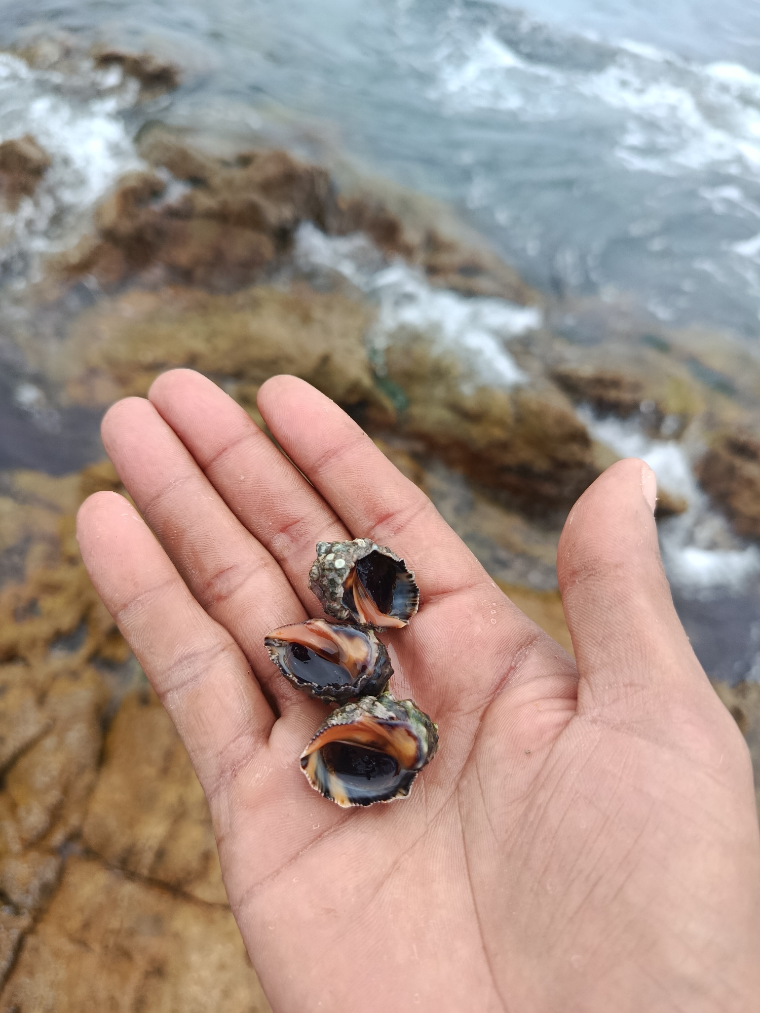 Exploring Juan Griego's coast, fort, and tidal rocks