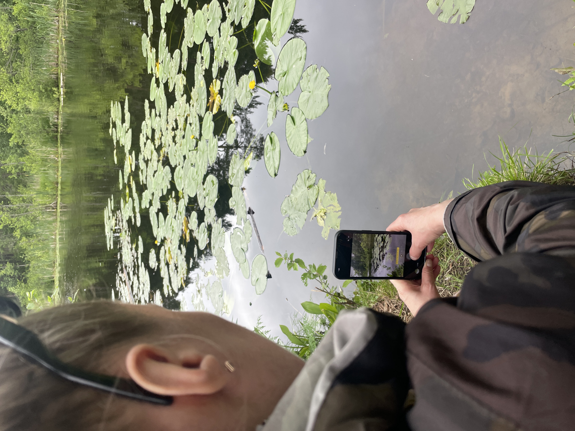Lily pad pond, ducks, and a busy park in Sosnoviy Bor