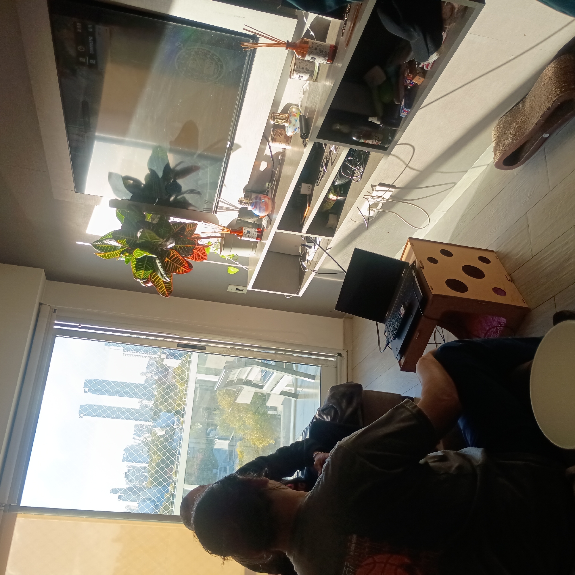 Person works on laptop at dice-patterned table indoors