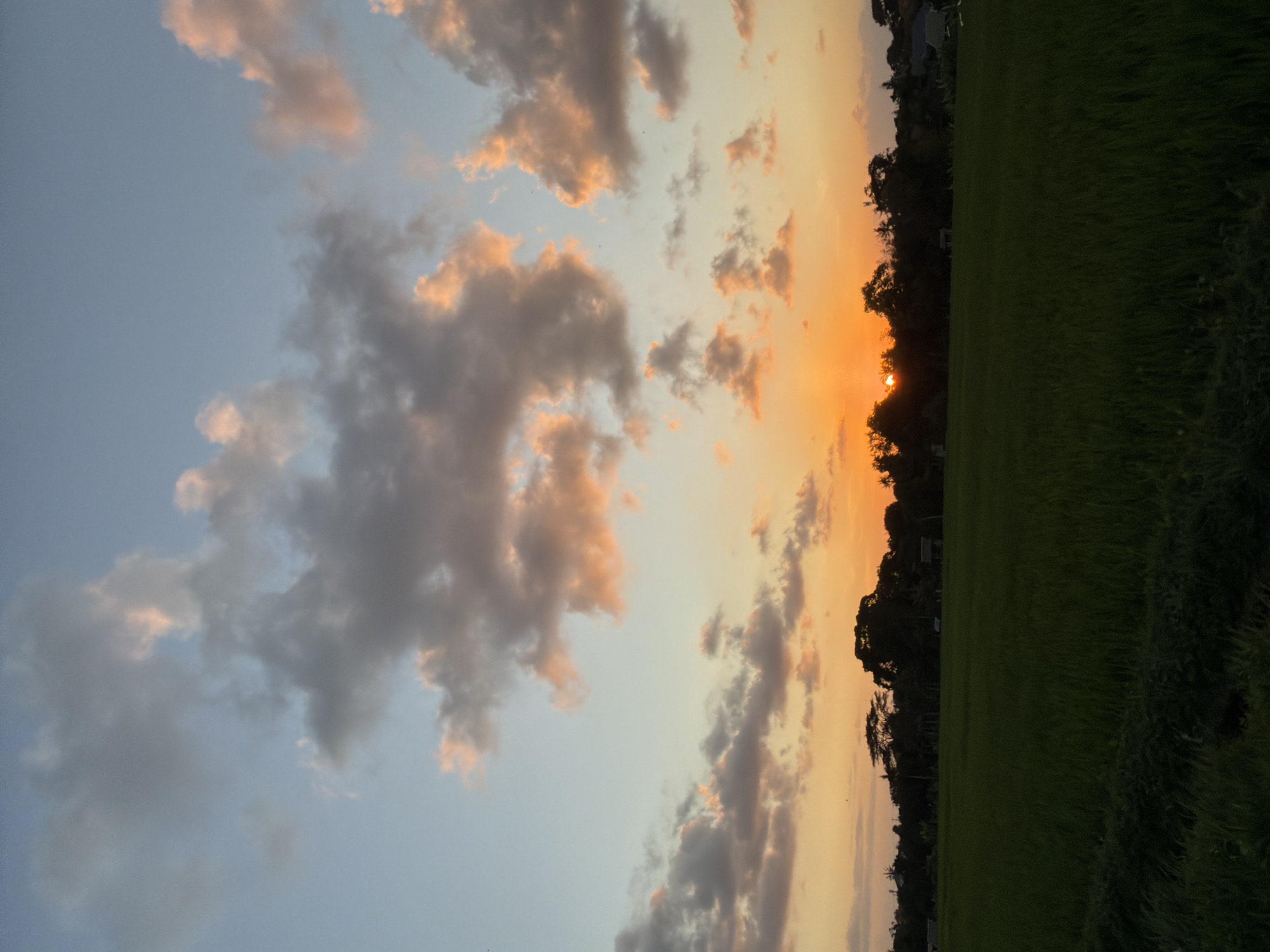 Golden hour wandering through North Kuta's rice paddy paths