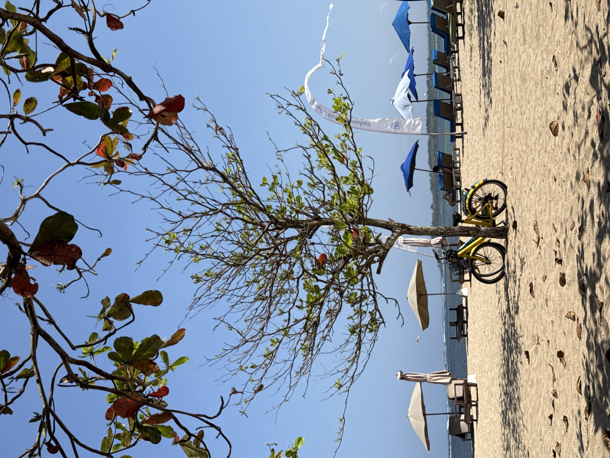 Kitesurfing and beach cafe vibes on a Bali morning