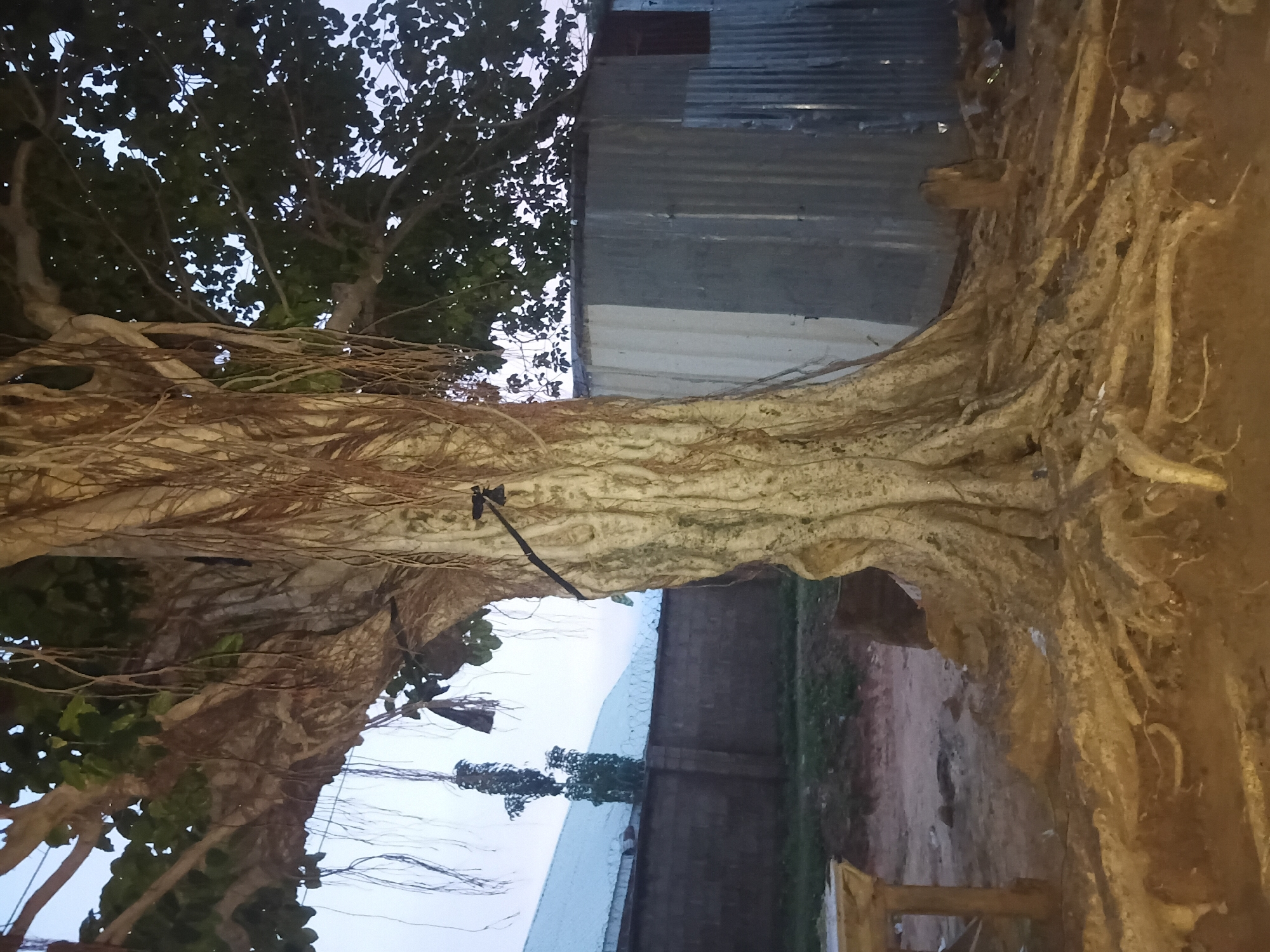 Early morning documentation of daily life in Jalingo, Nigeria