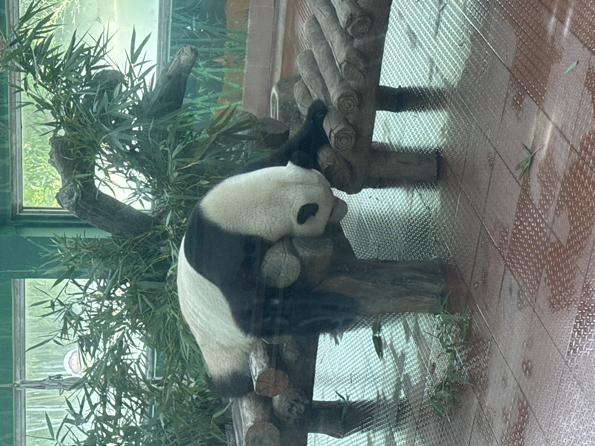 Nighttime wildlife activity observed at Yuexiu District facility