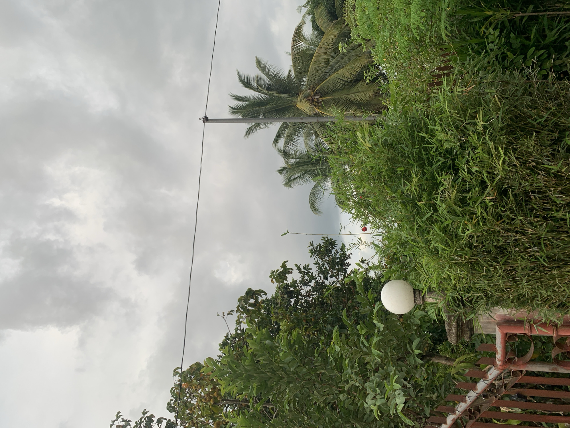 Children play in tropical rural setting in Kiblawan, Philippines