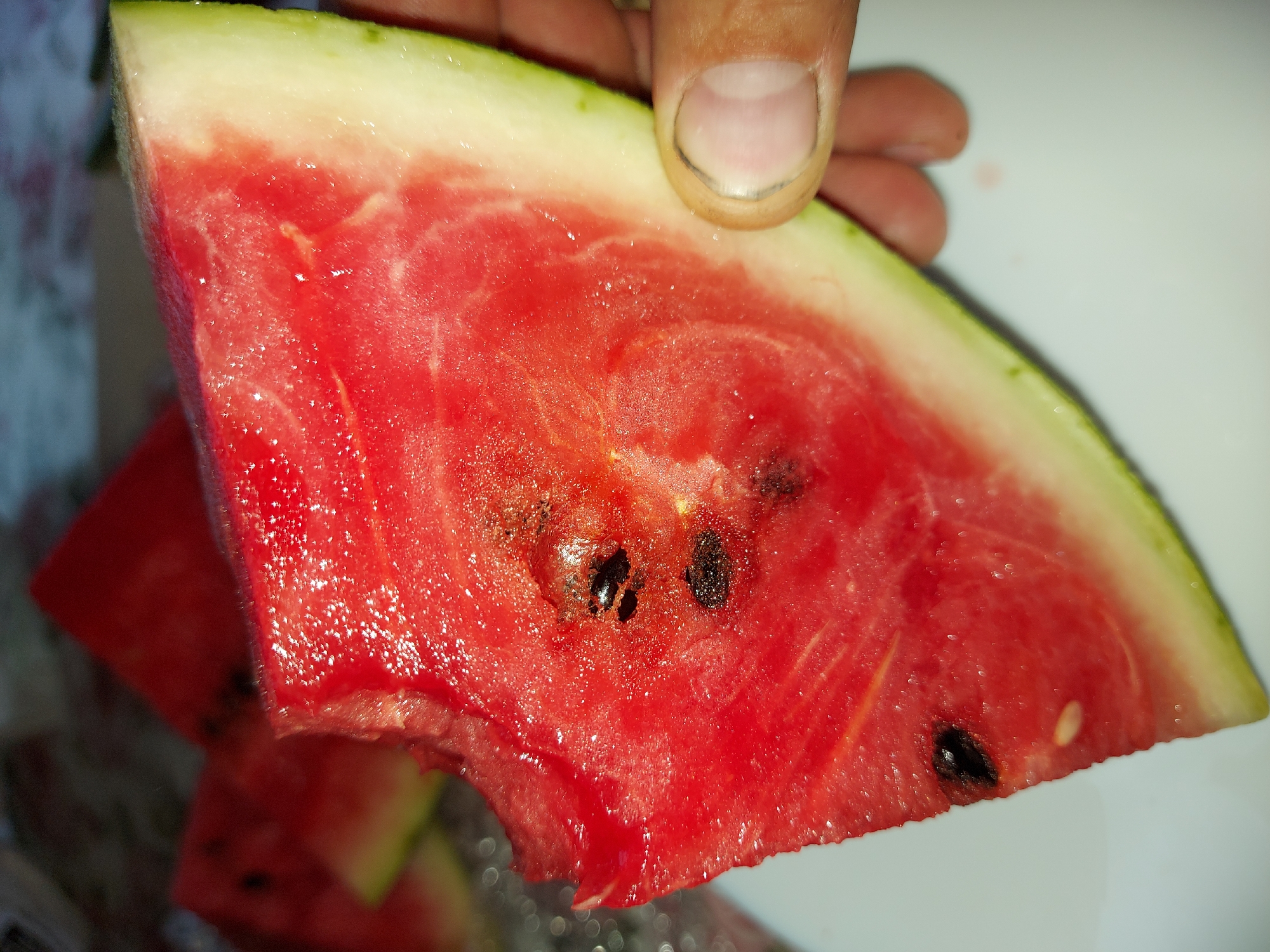 Summer afternoon spent photographing gardens, horses, and fresh fruit