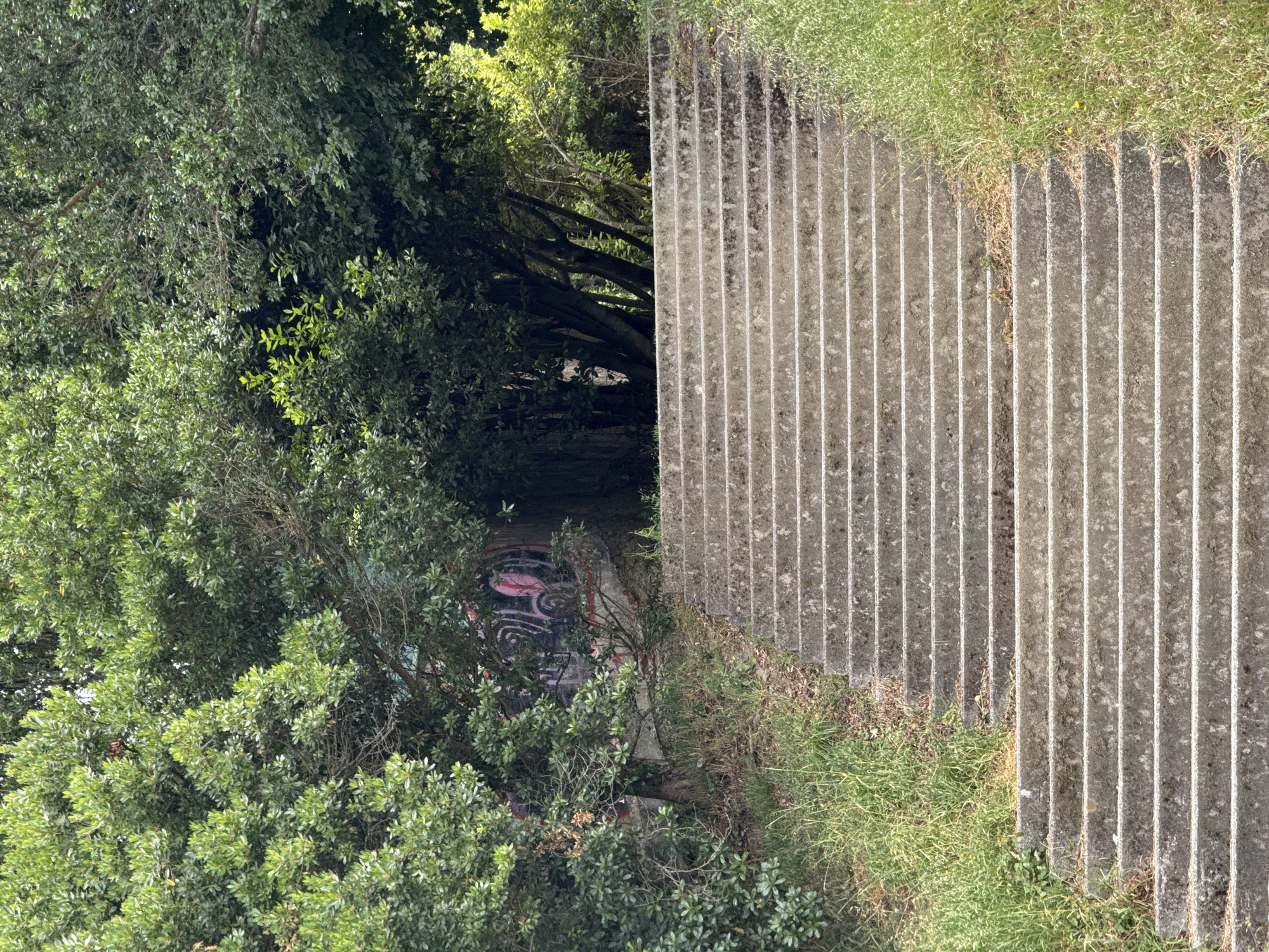 Natural and built environments contrast in Santiago de Compostela