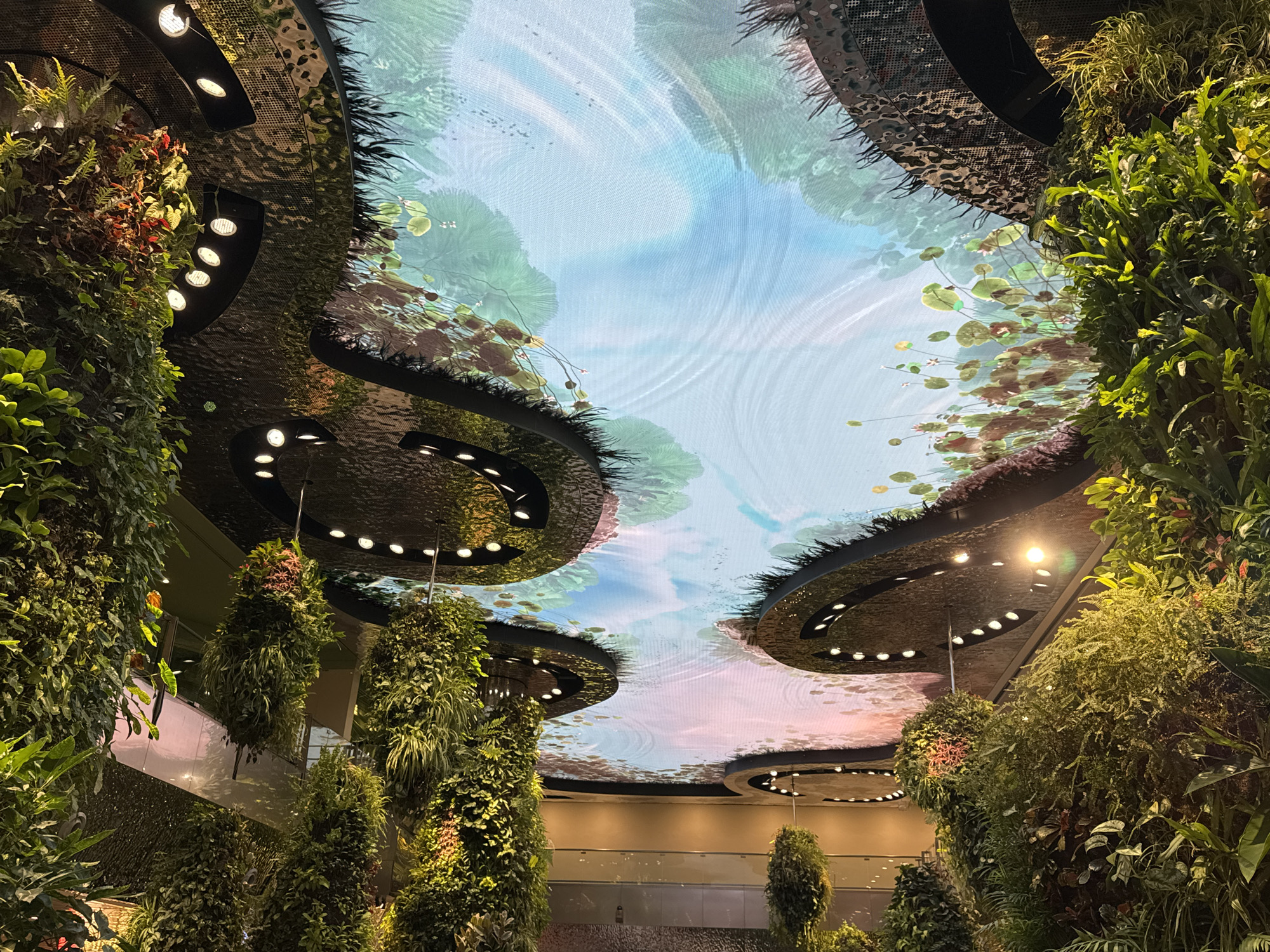 Animated otter ceiling display draws visitors at Changi Airport