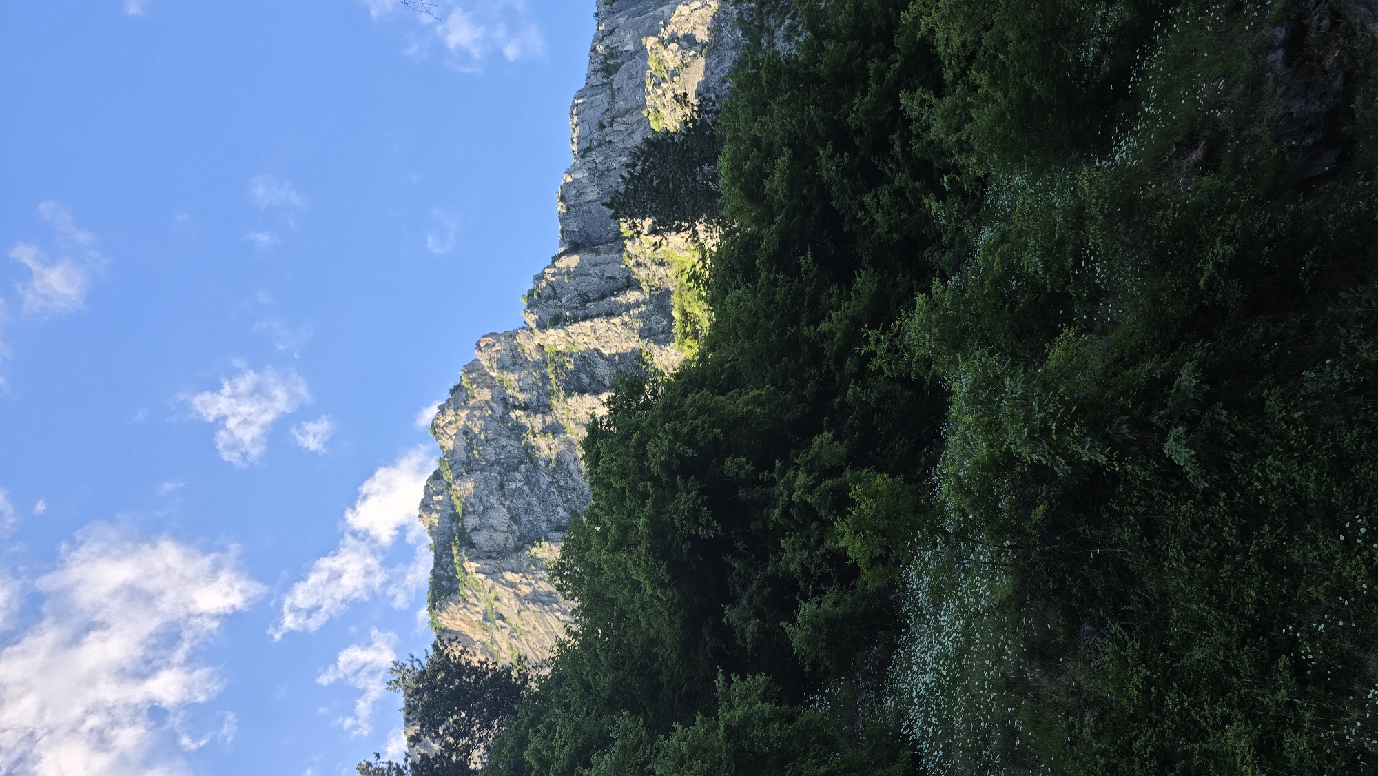 Exploring Vratsa's mountain landscapes and tree-lined walkways