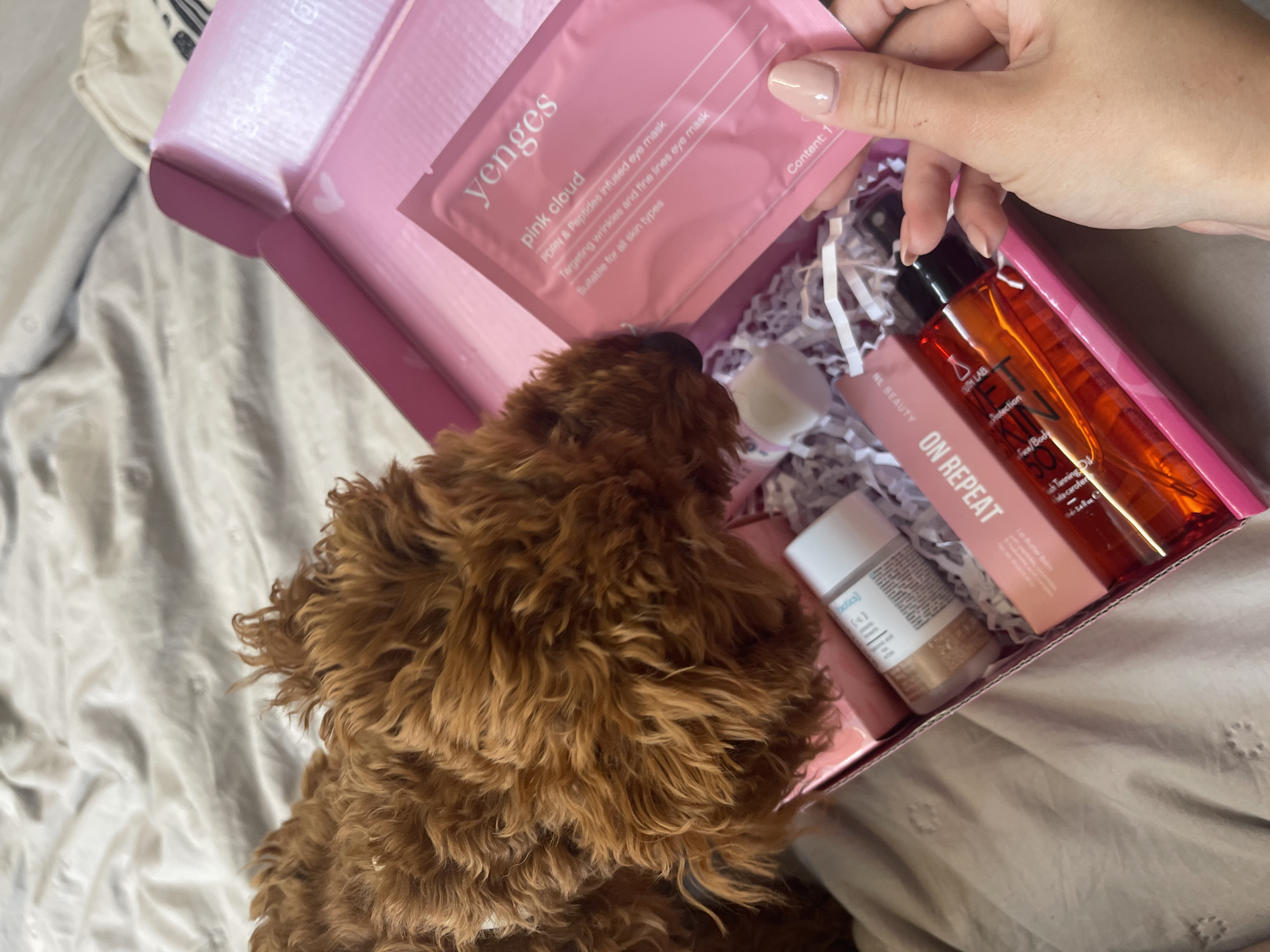 Woman unboxes beauty products with curious dog in Sofia bedroom
