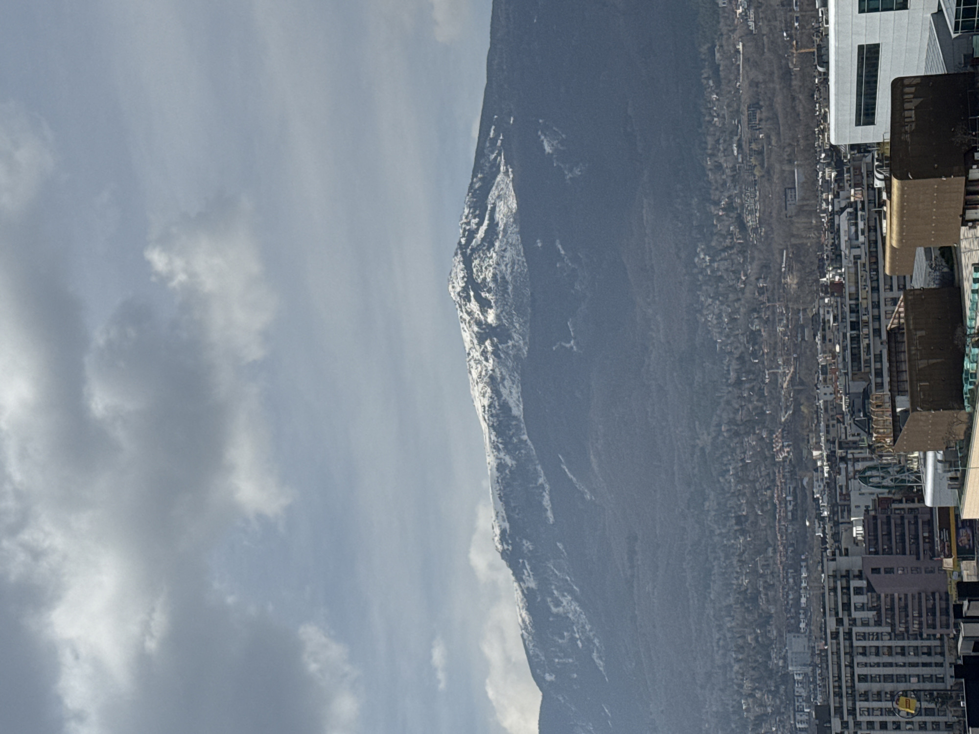 Morning routine in Sofia: mountain views, spring blossoms, mall visit