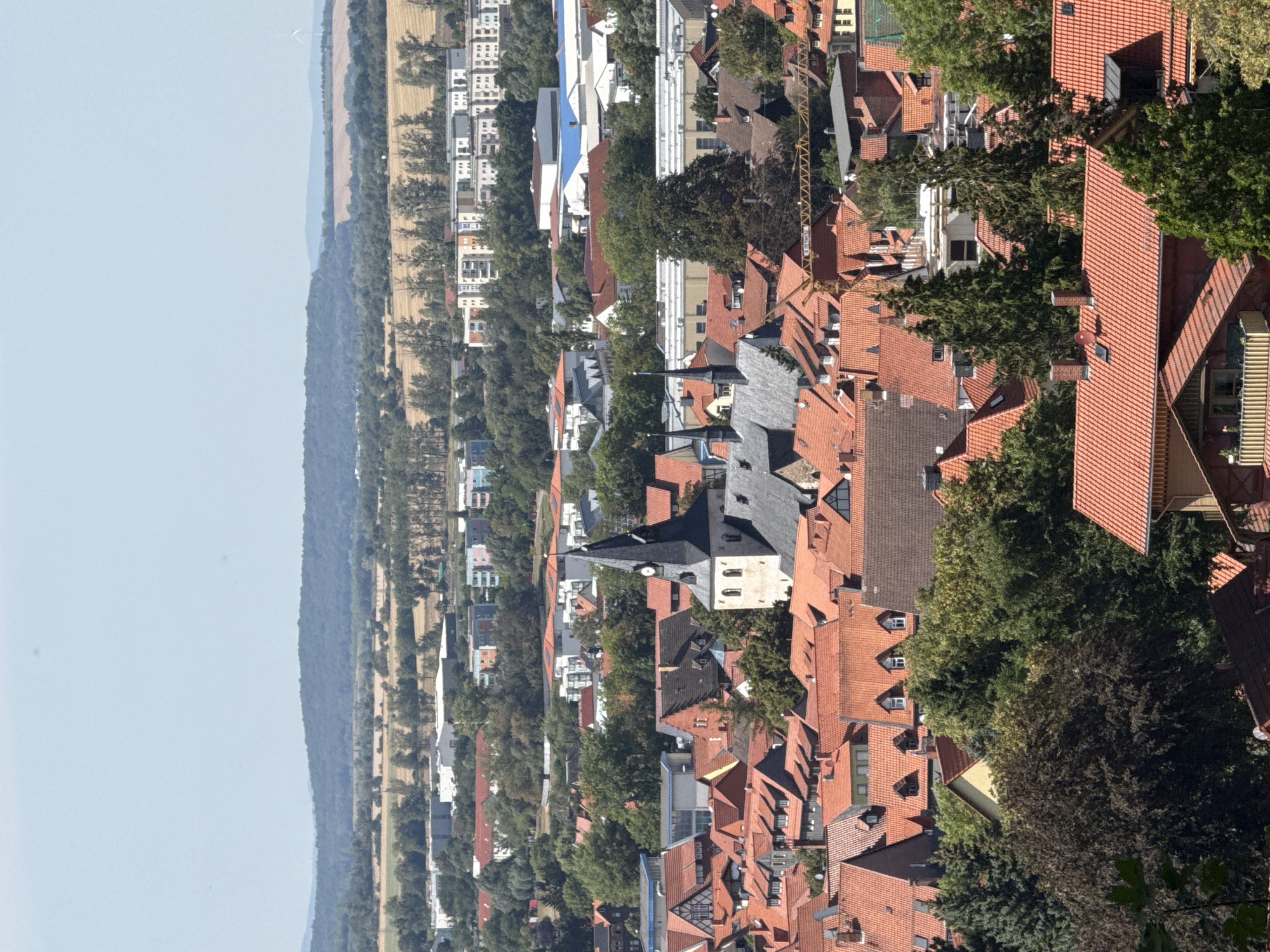Wernigerode from above: rooftops, forest, and historic streets