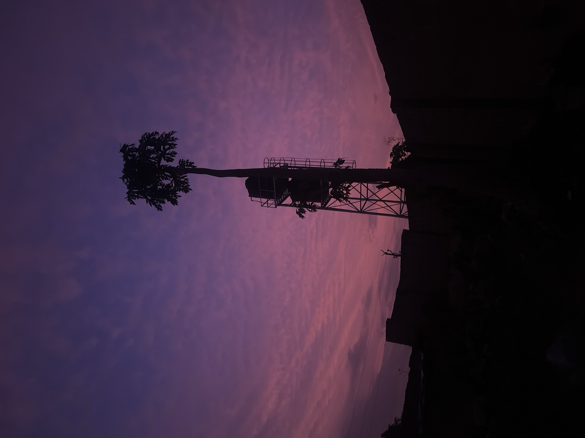 Dawn silhouettes captured in Gura Top, Nigeria