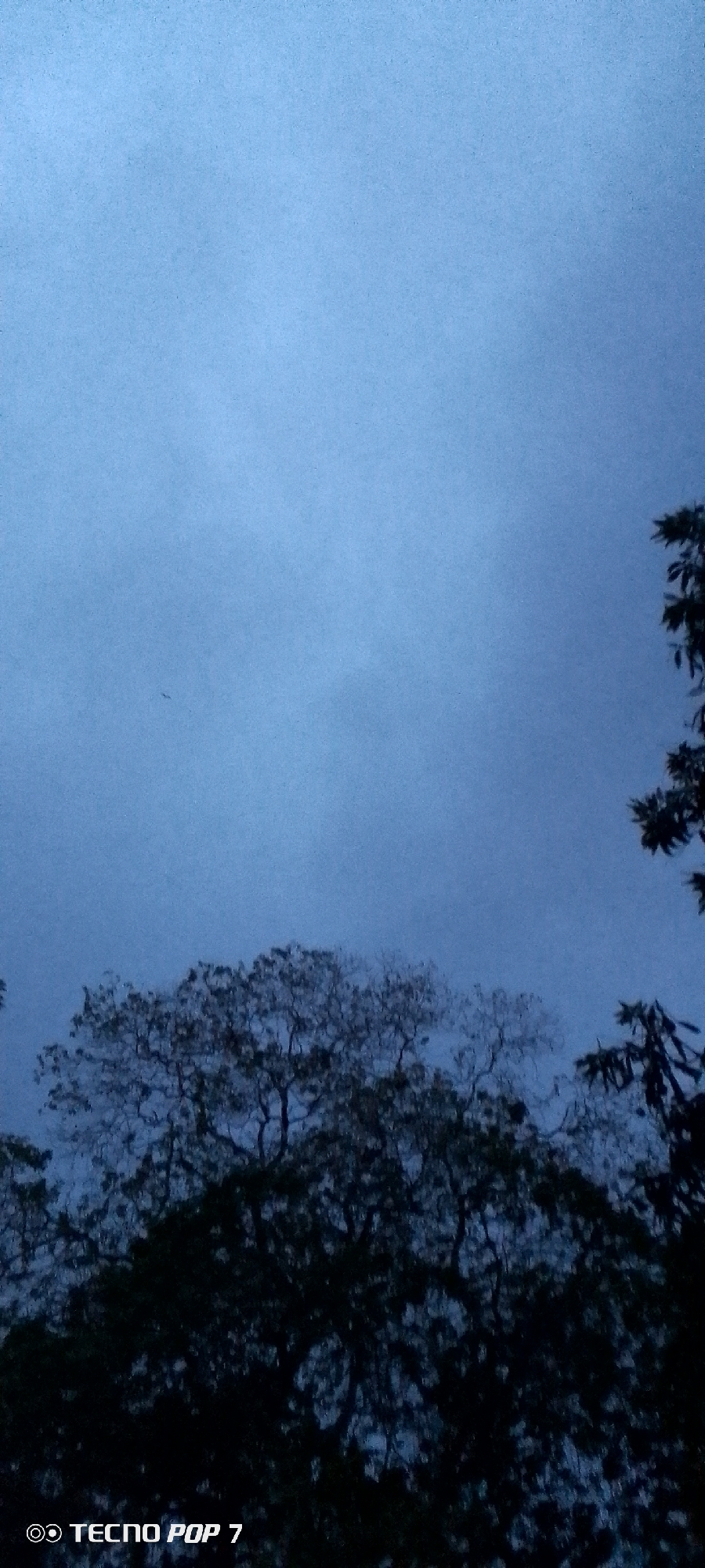 Nighttime rainstorm with strong winds in Altagracia, Venezuela