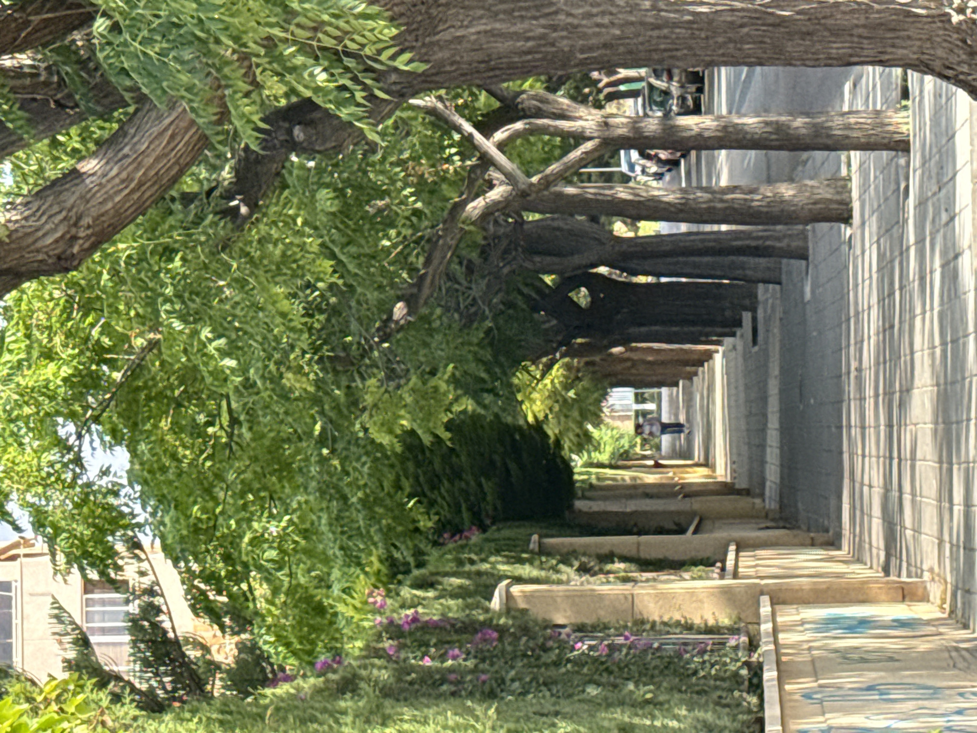 Morning urban walk captures street scenes, bakeries, parks