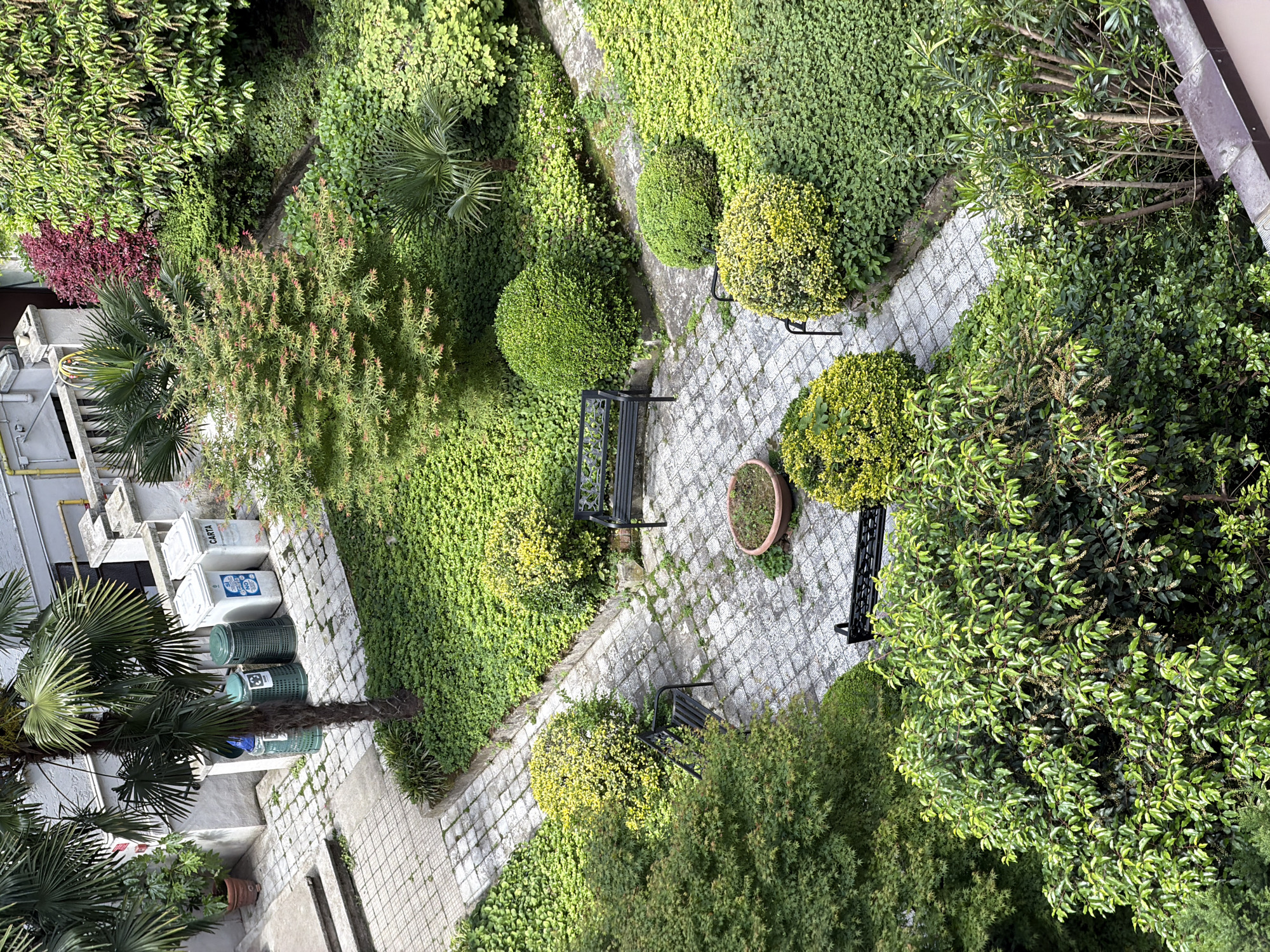 Morning scenes captured across residential Milan neighborhoods