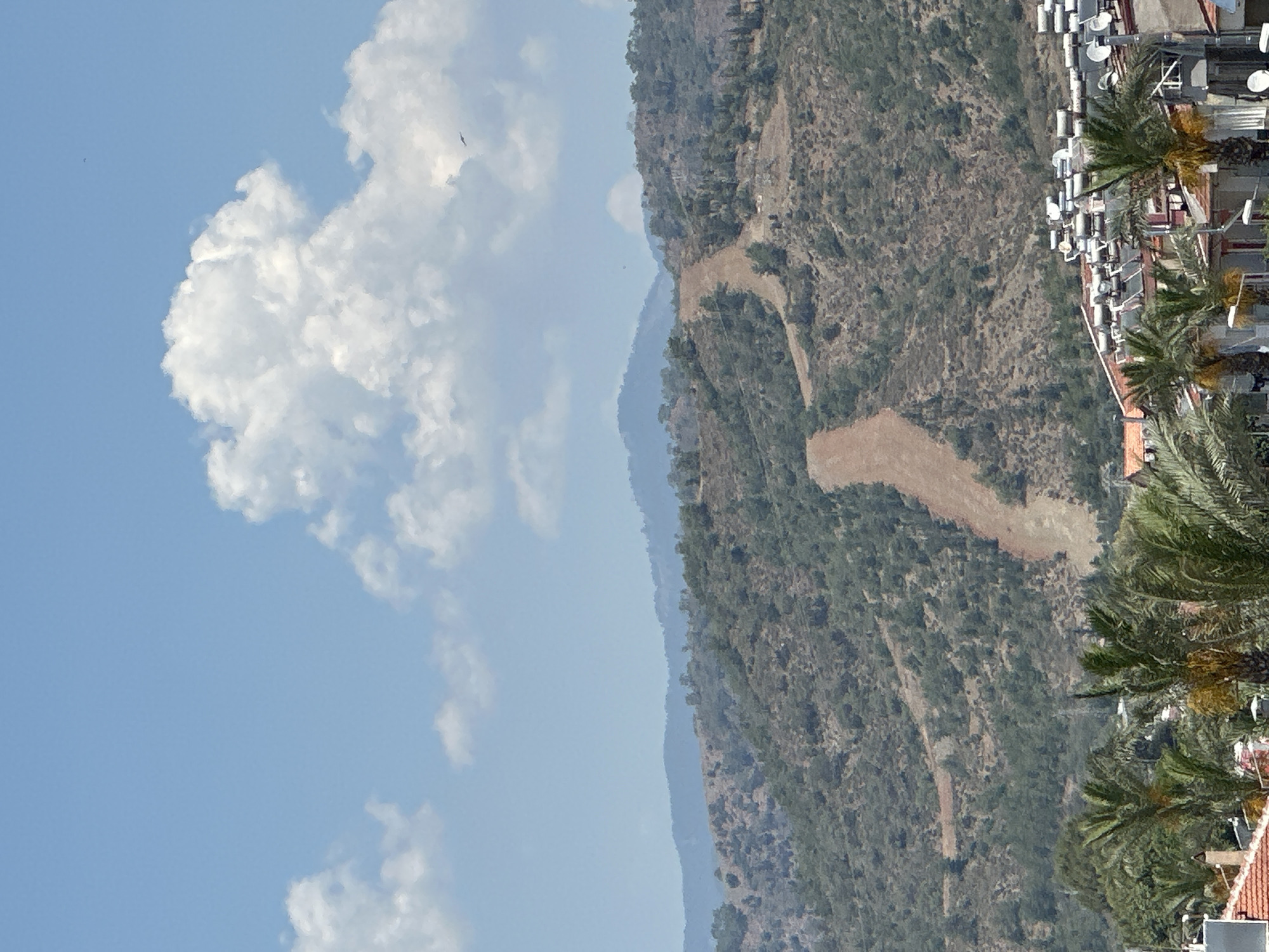 Morning documentation captures diverse scenes across Fethiye, Turkey