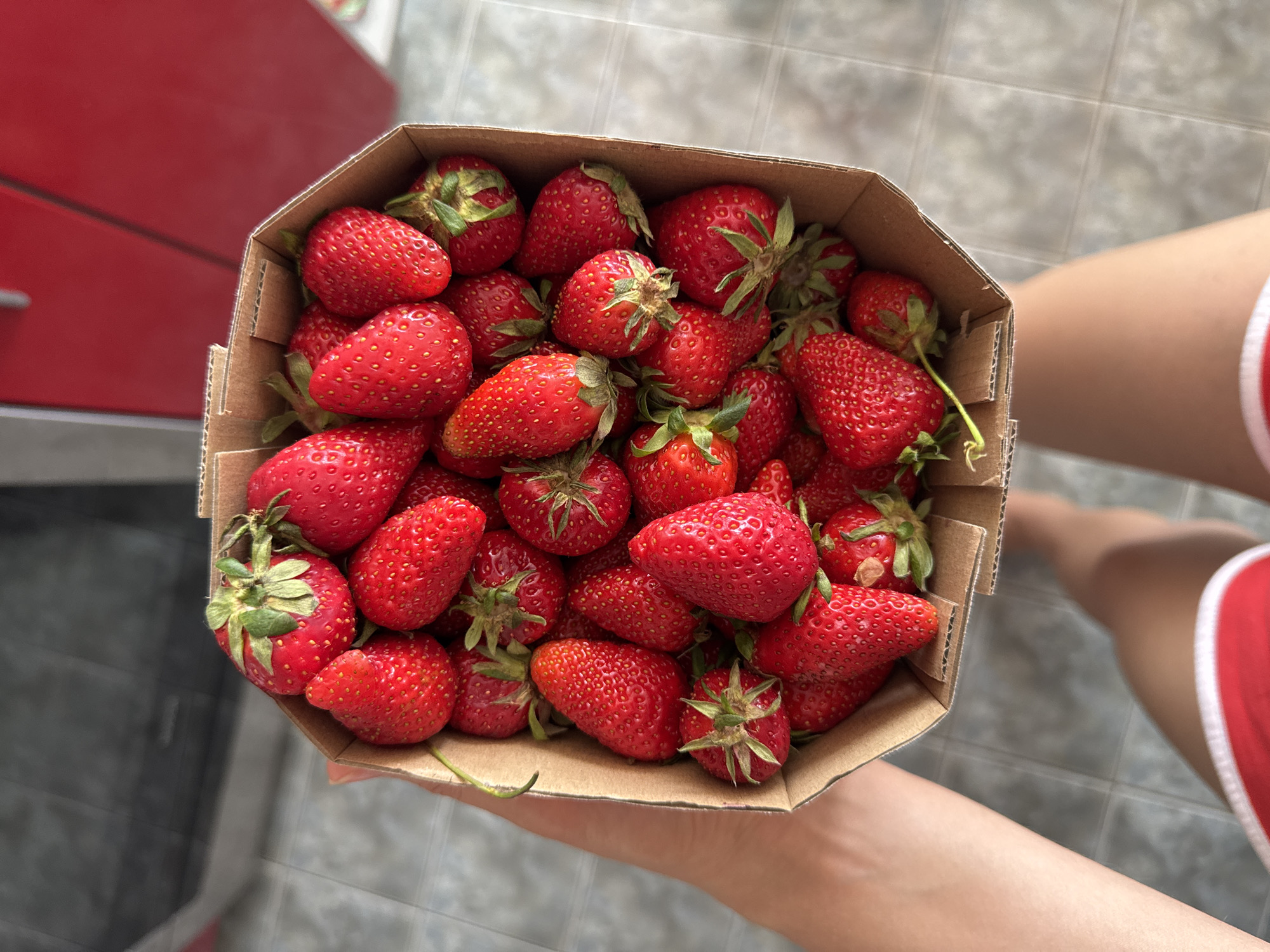 Strawberries, robot sculpture, library captured in Podgorica walkabout