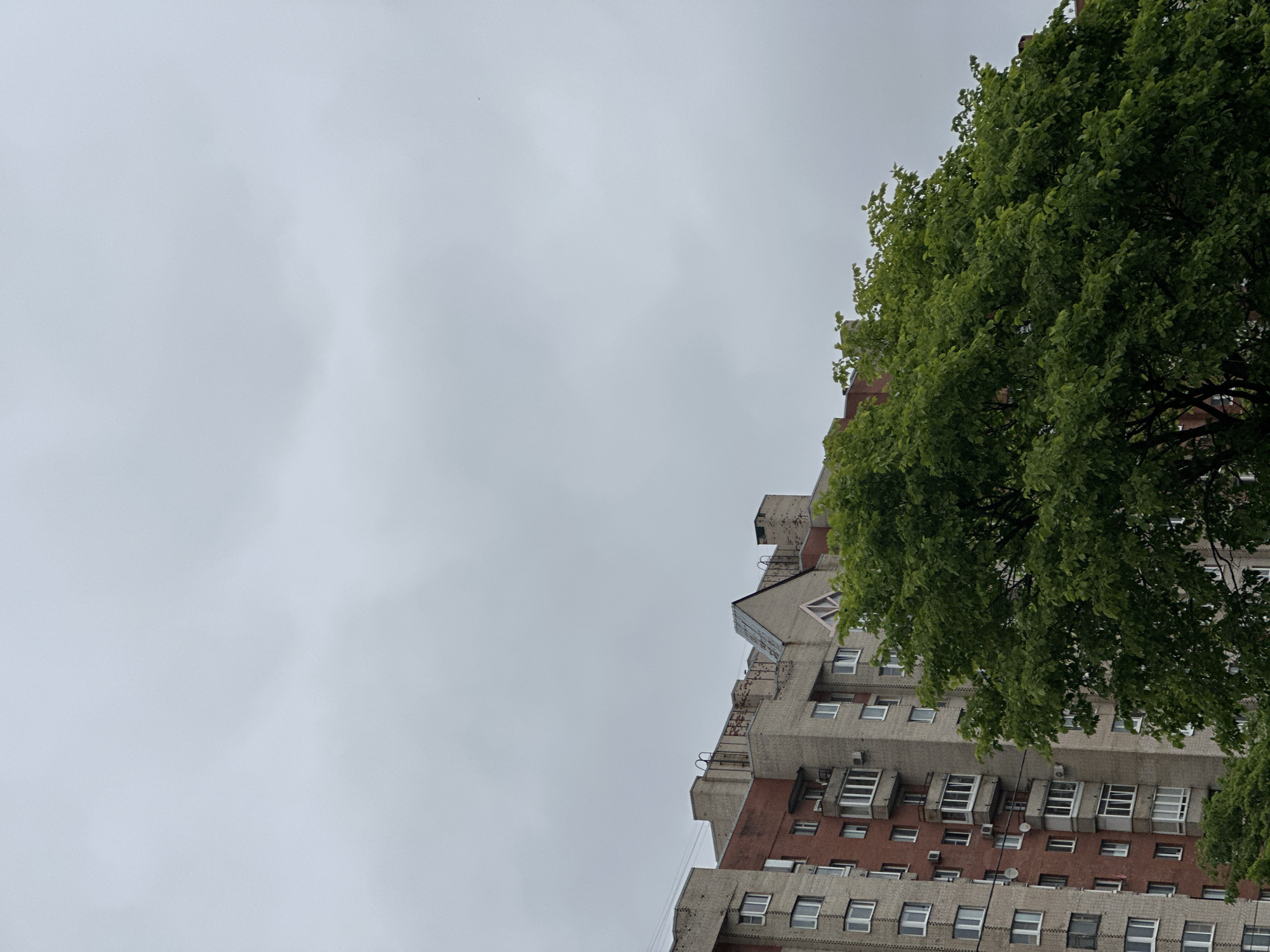 Soviet-era apartment blocks and green space in Saint Petersburg