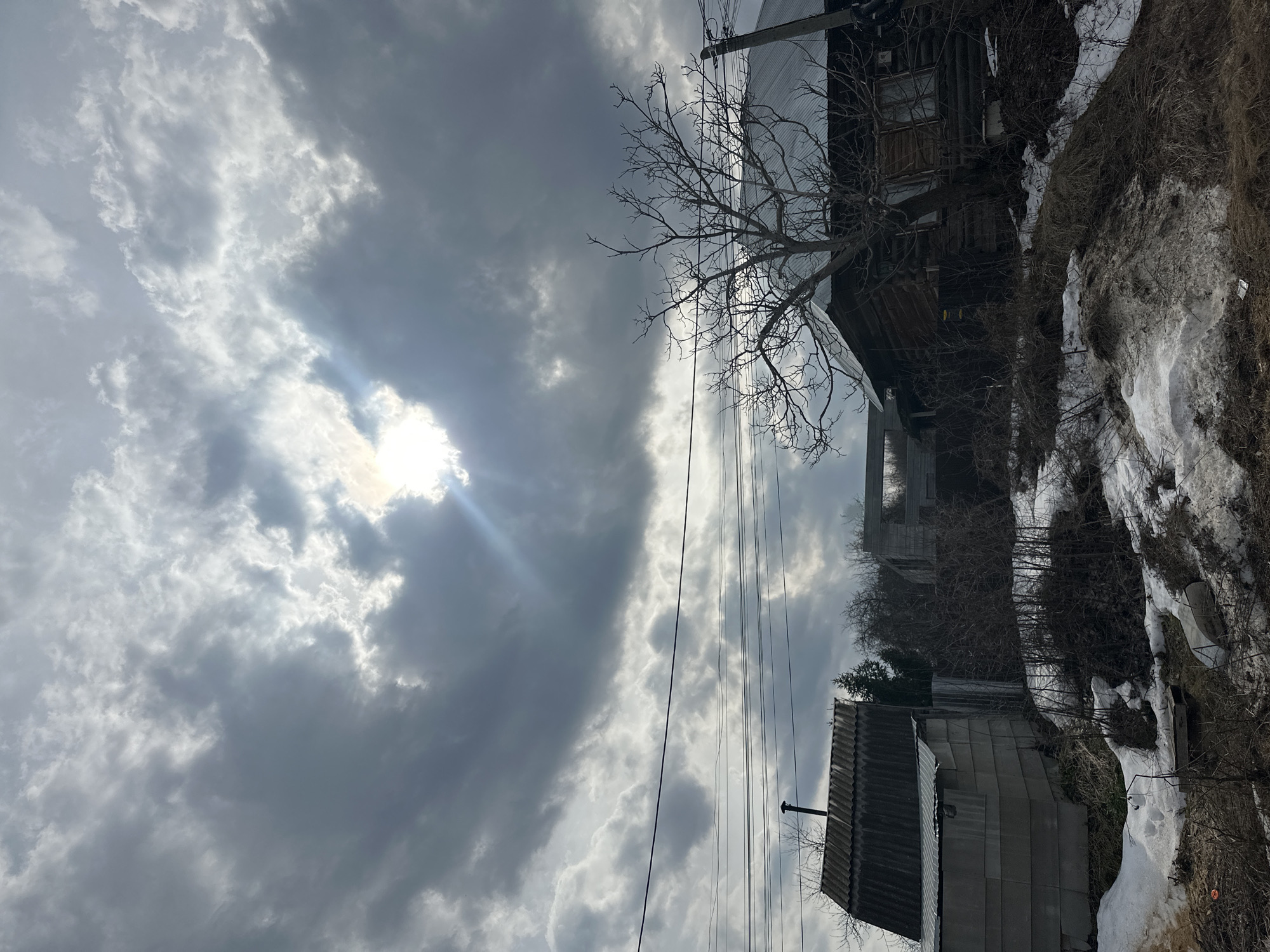 Morning light and bare trees observed in Chaikovsky, Russia