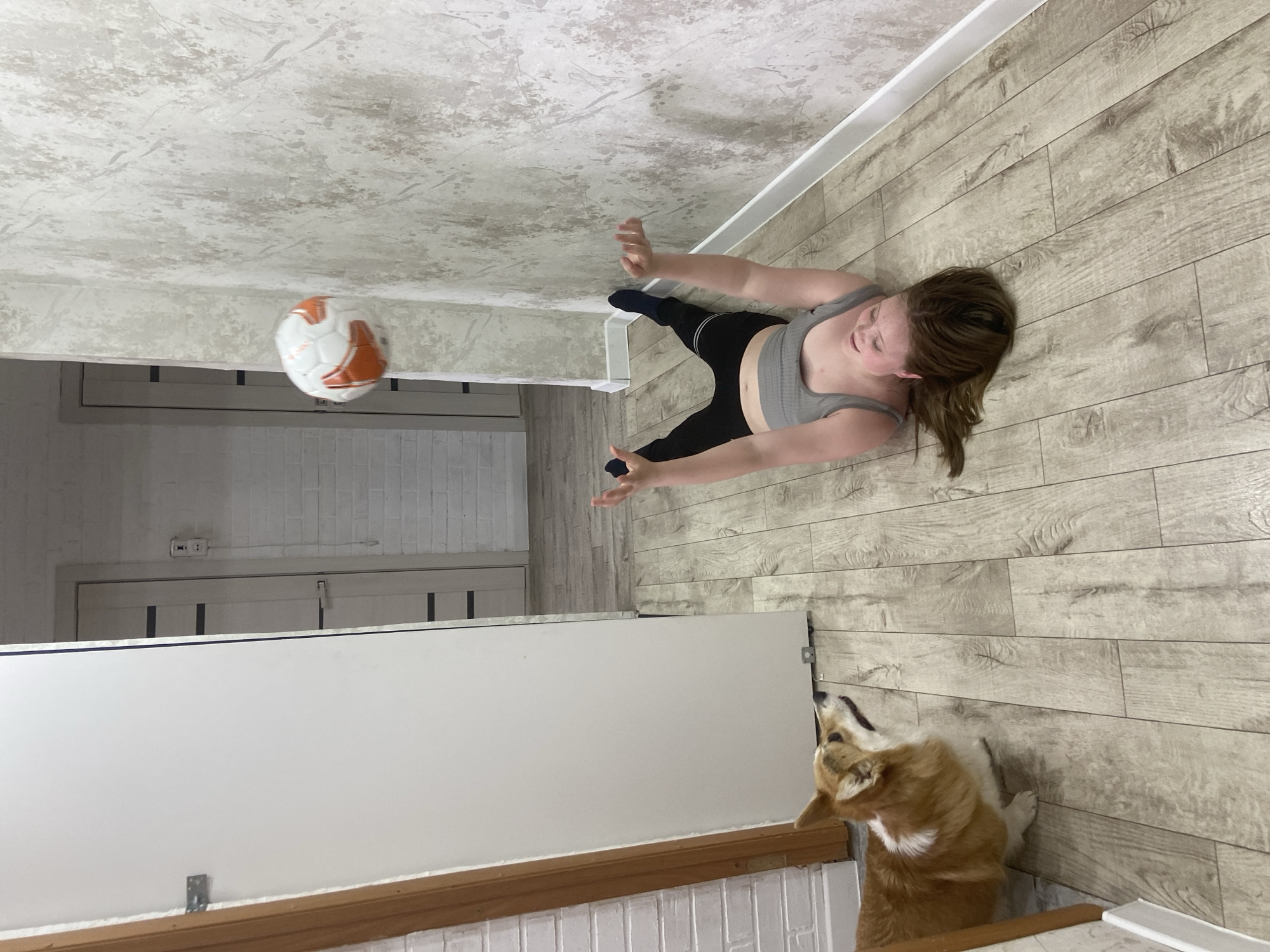 Woman's morning routine with corgi documented in Chaikovsky