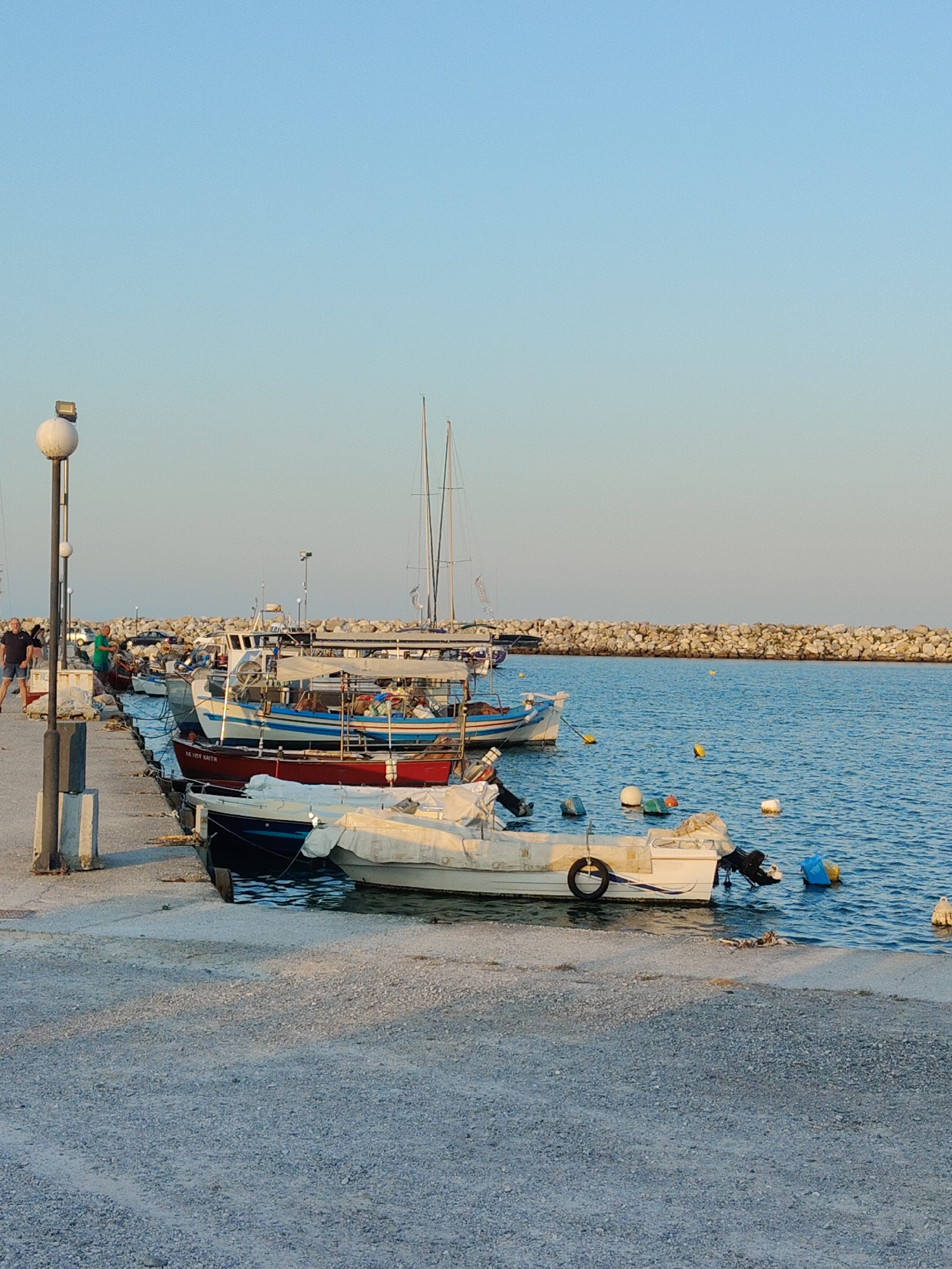 Black cats roam a Greek harbor on a summer afternoon
