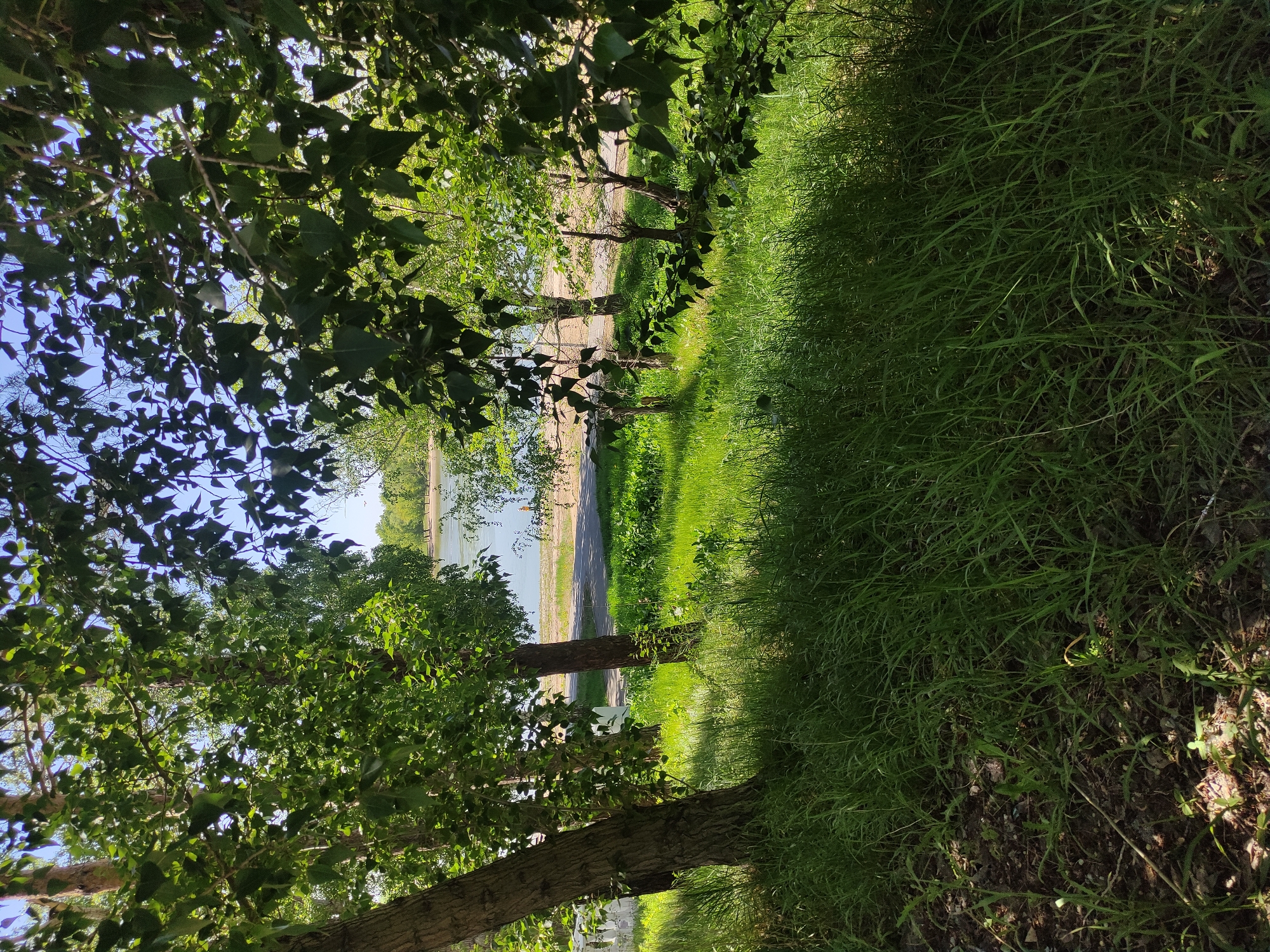 Morning park walk documented along waterfront in Pavlodar, Kazakhstan
