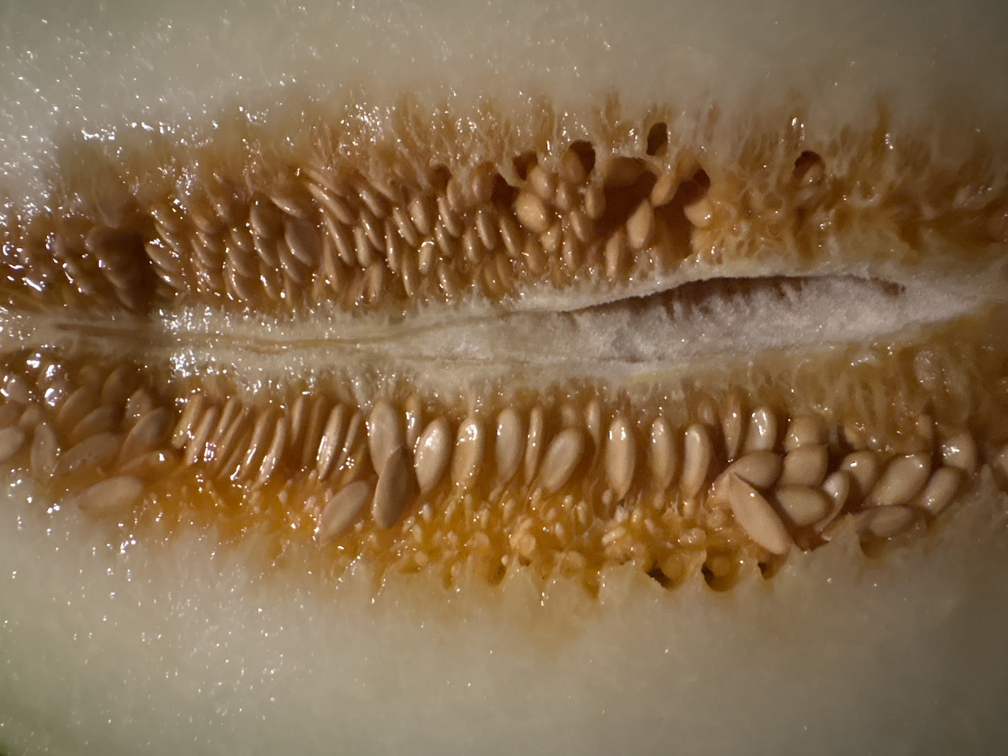 Close-up details of a lived-in indoor space at night