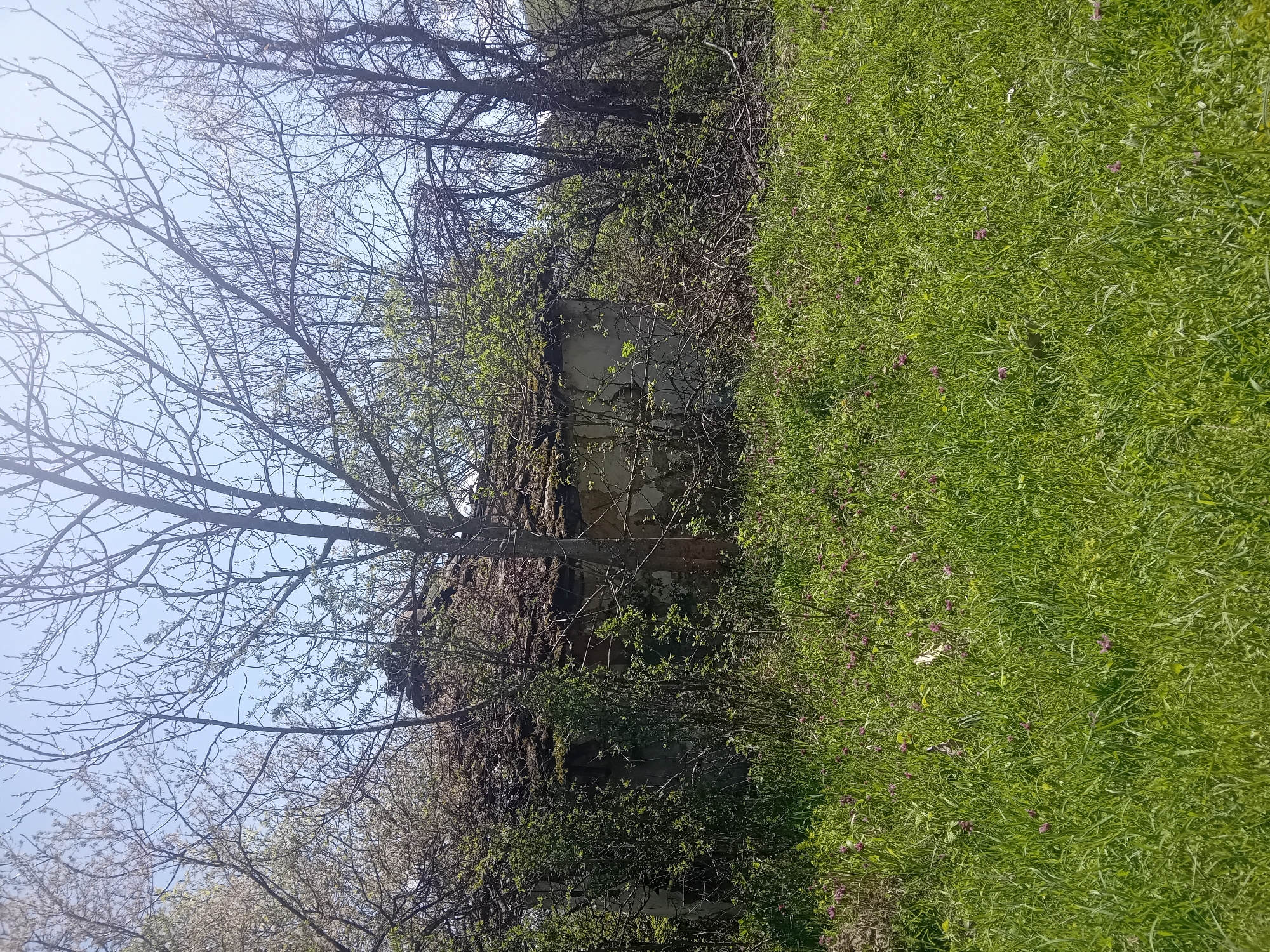 Witness documents spring walk through abandoned, nature-reclaimed settlement
