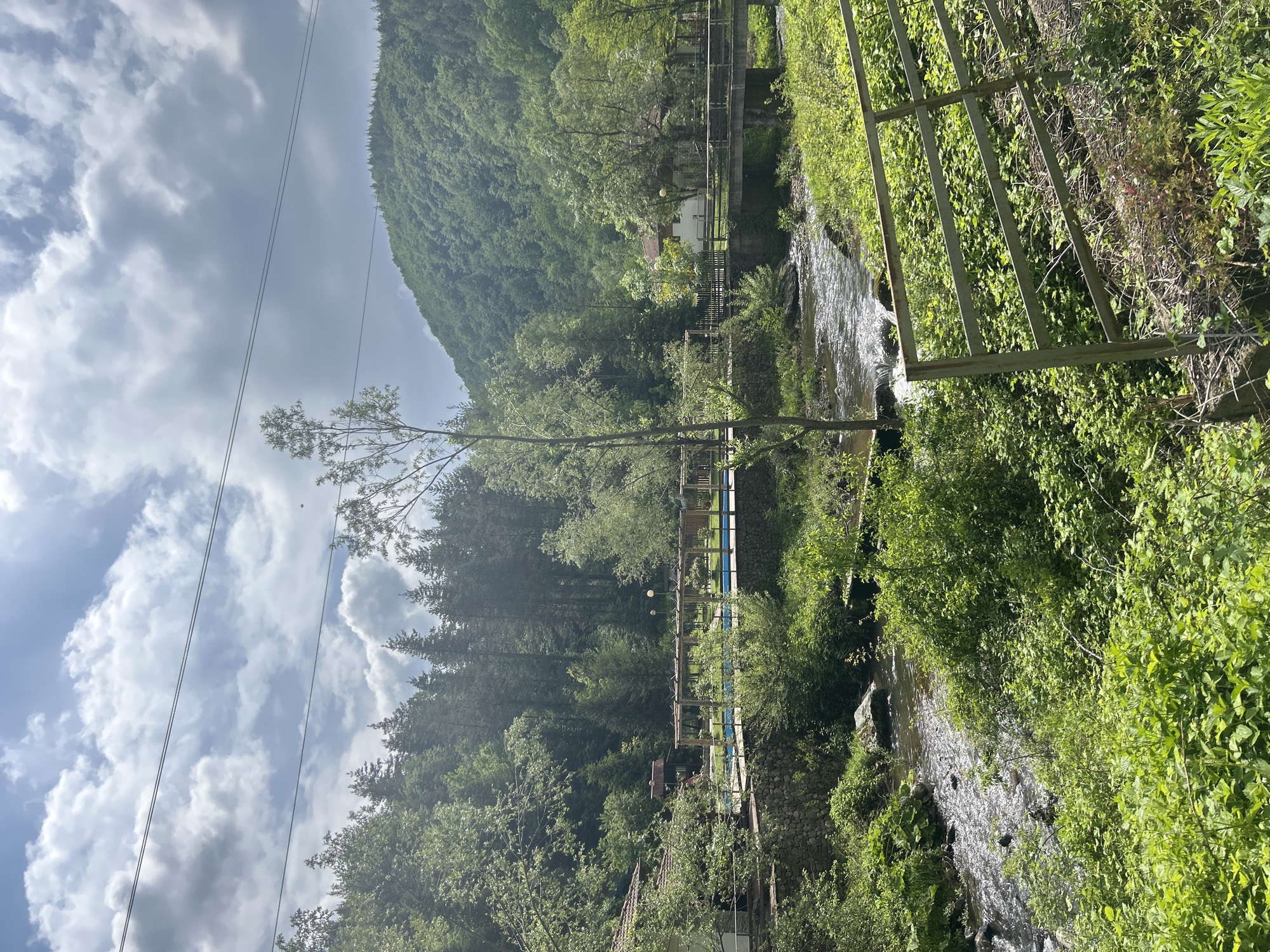 River landscape with dense vegetation and mountain documented