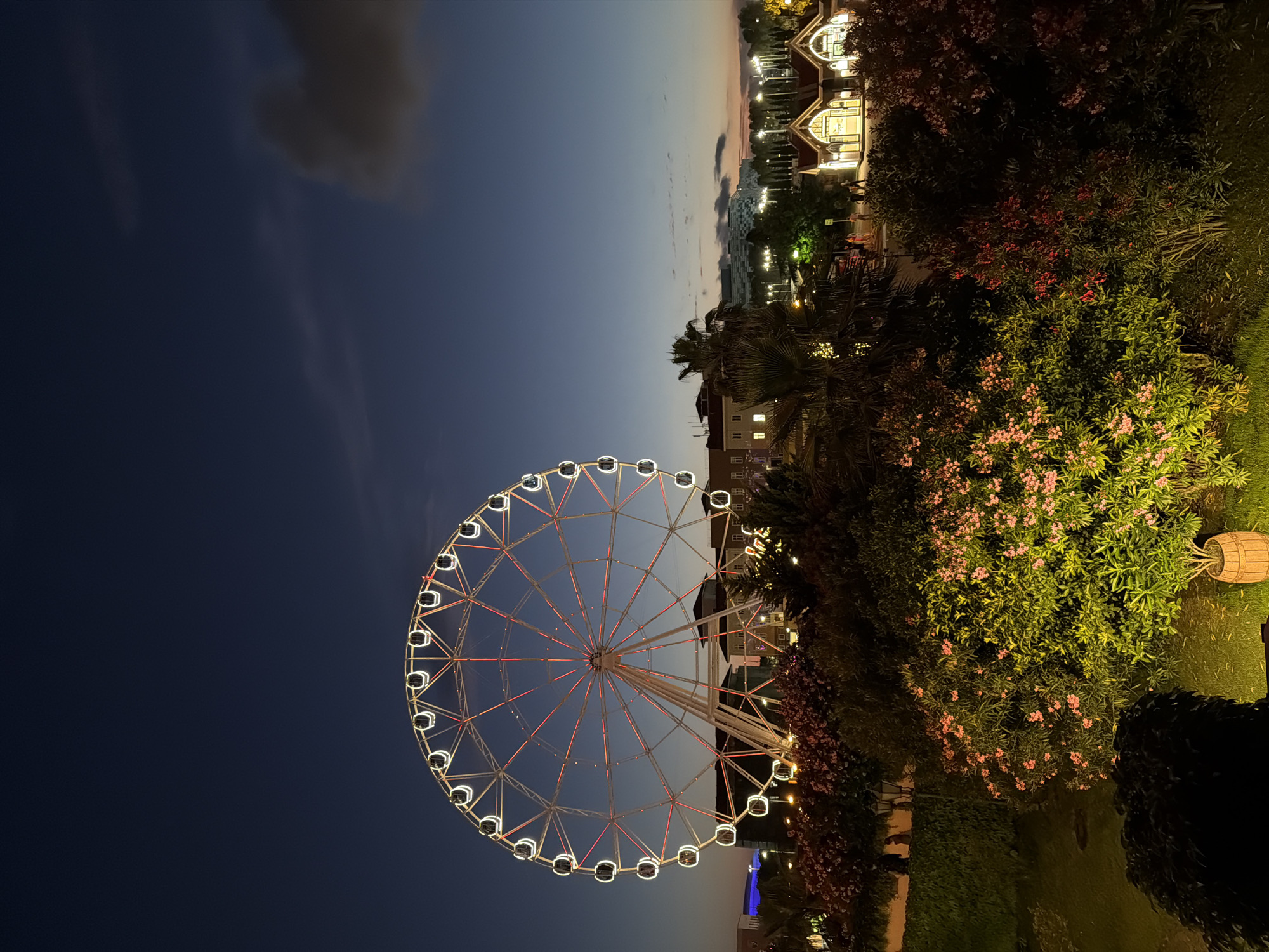 Sochi Park lit up at night, Sirius Russia