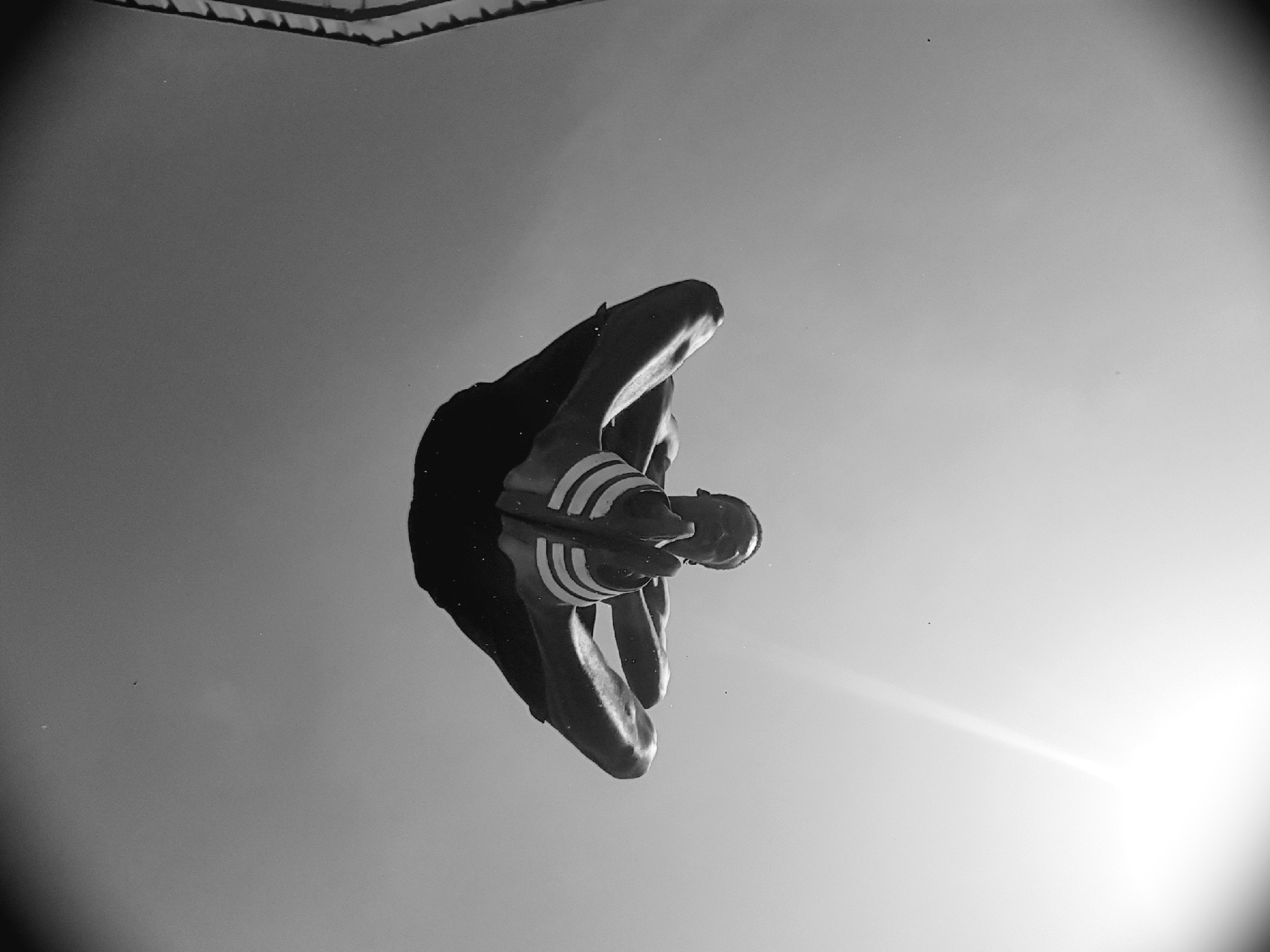 Pole vault training caught in striking black and white, Narayi