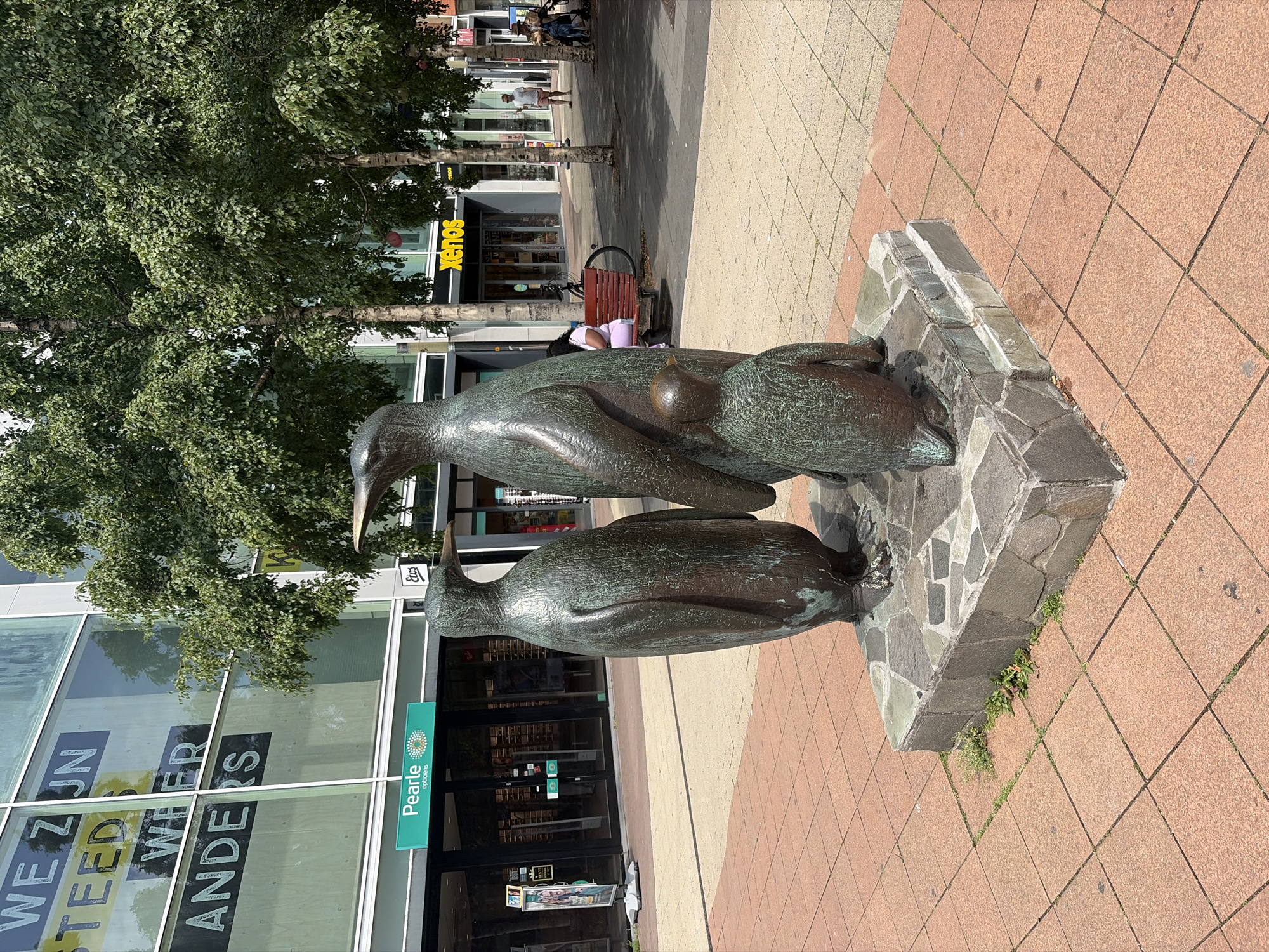 Street scenes and penguin sculptures documented in Rijswijk
