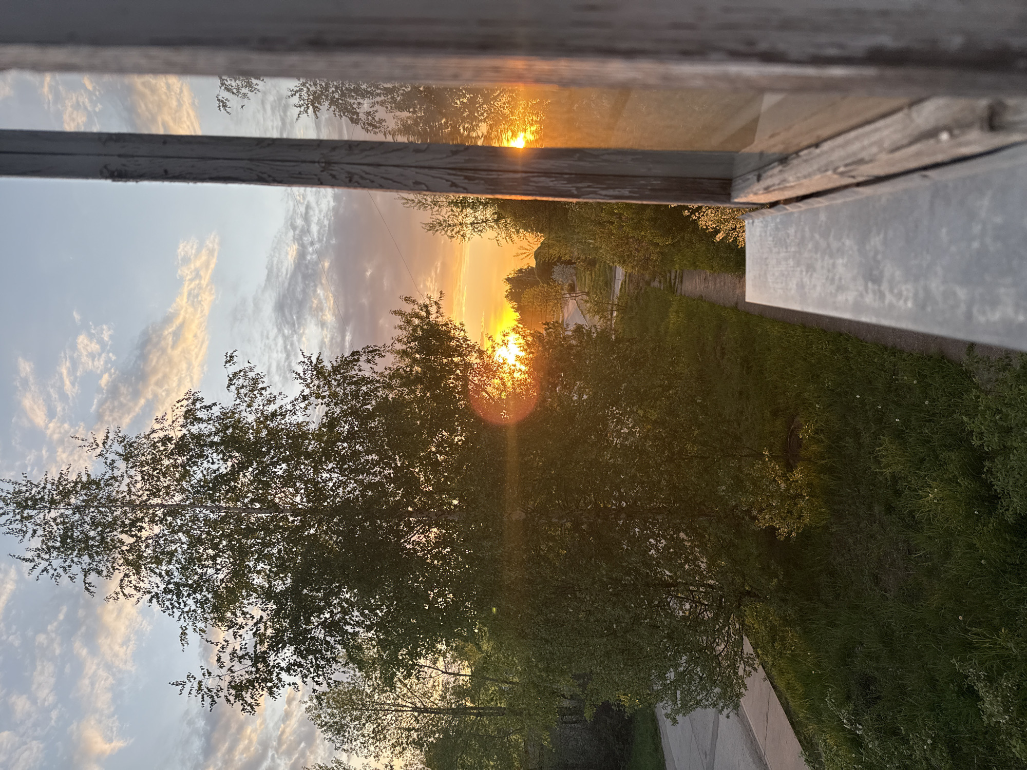 Sunset observed through window, trees silhouetted against orange sky