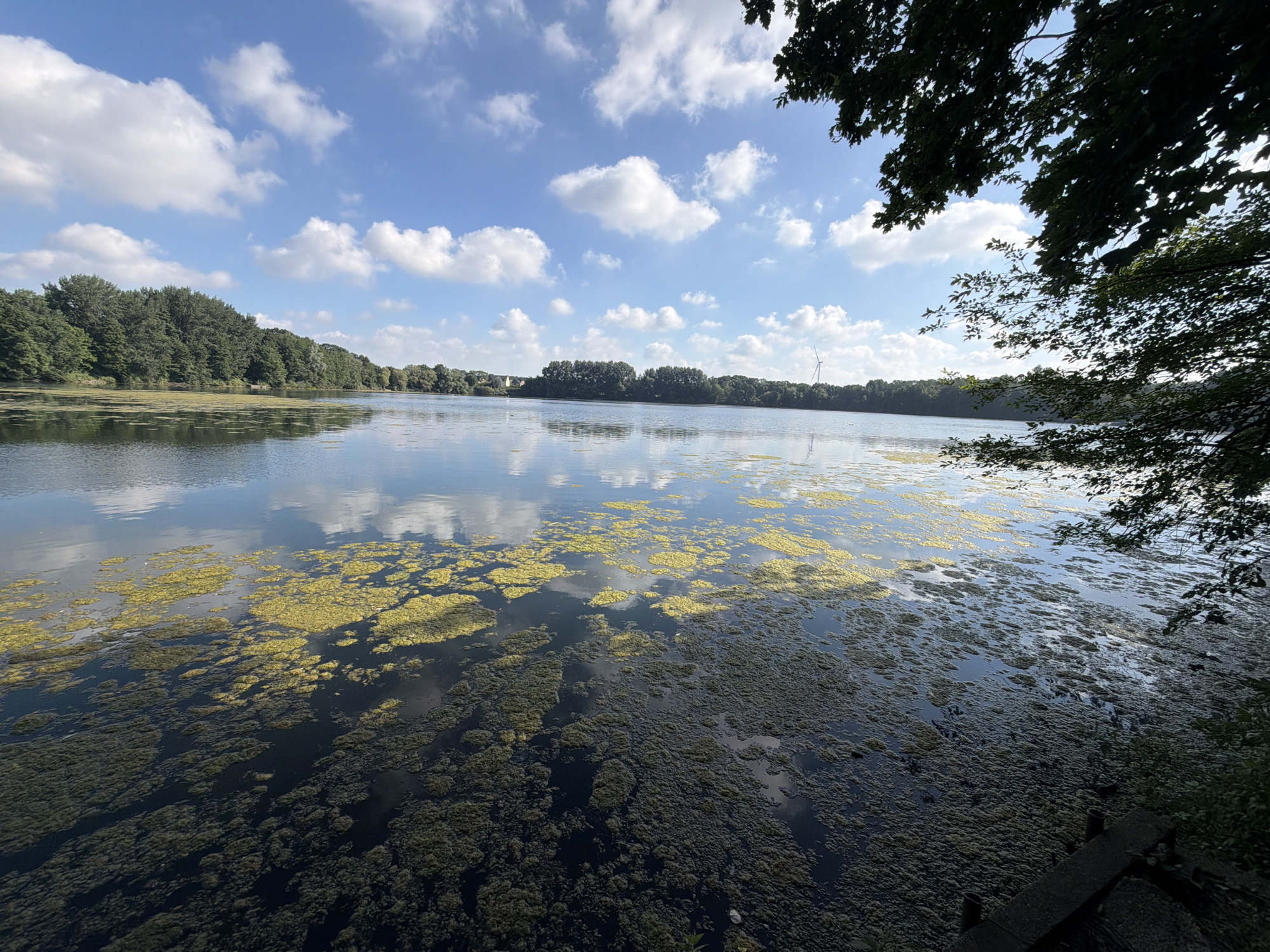 Morning stroll along Dorsten's Stadthafen waterfront and surrounding paths