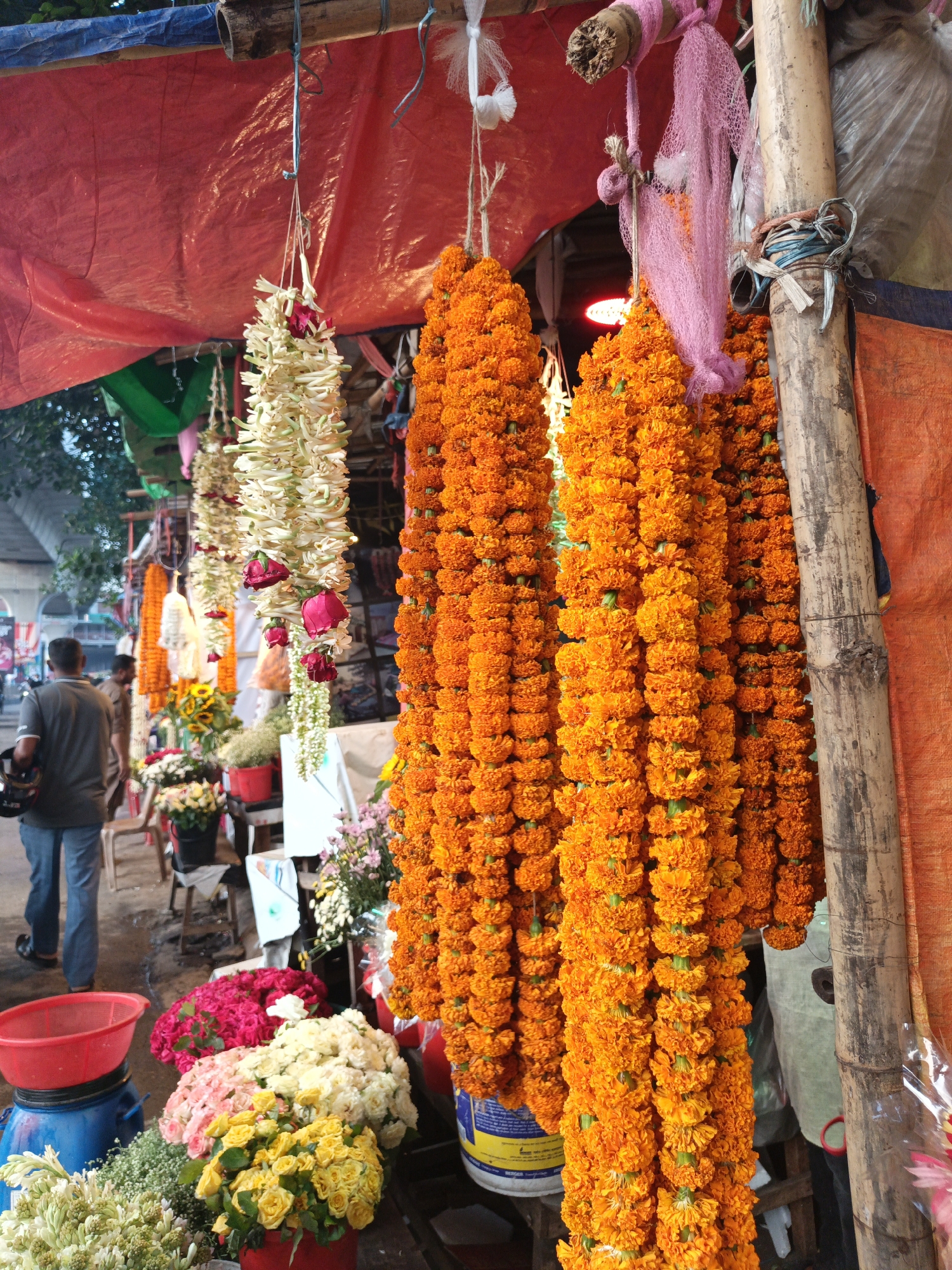 Flower vendor displays colorful blooms at Dhaka market