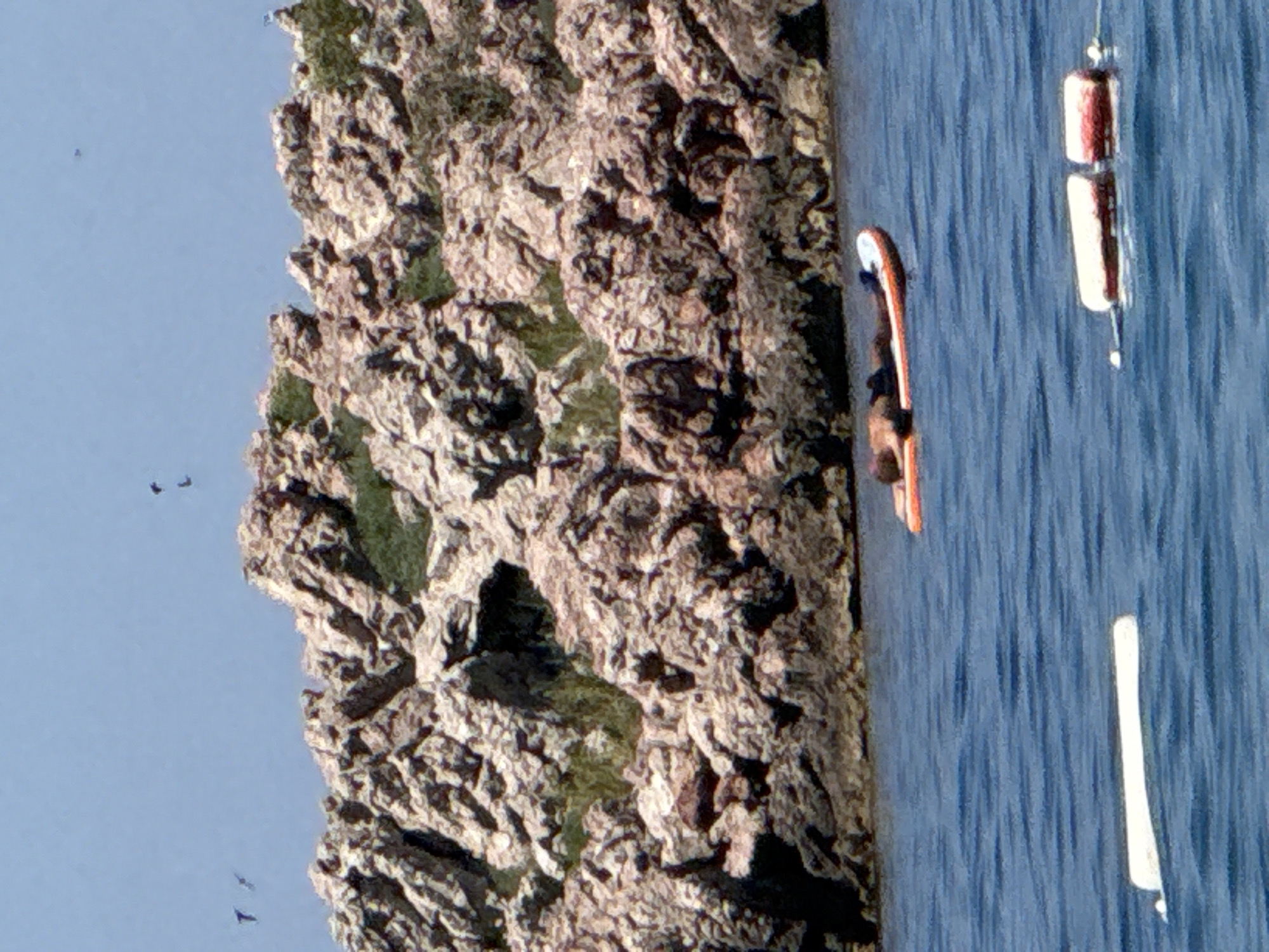 Summer day on the Montenegrin coast: sea, pools, and parasails