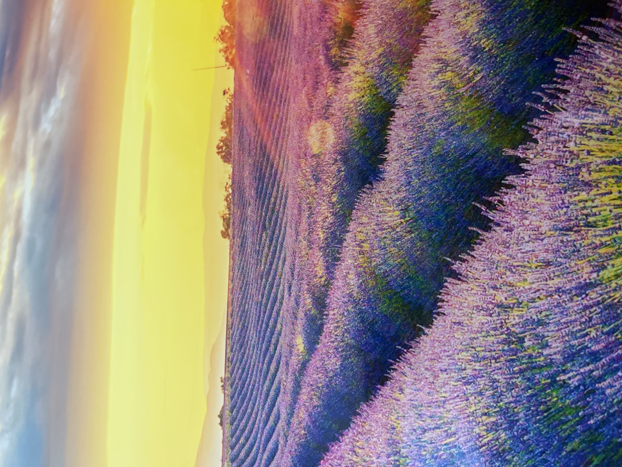 Lavender field at sunset near Odintsovo, with ruins and scattered indoor scenes