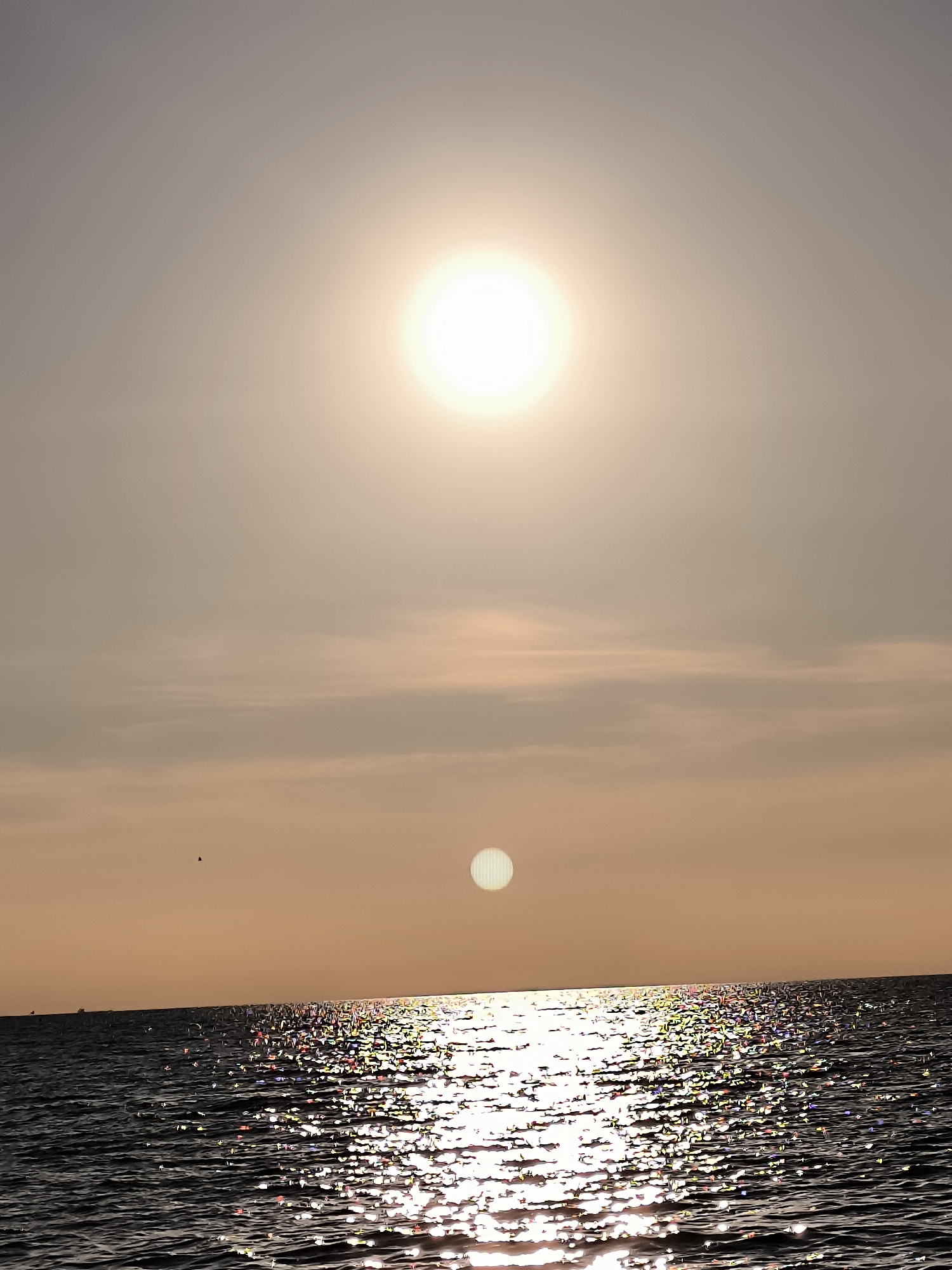 Kite flying and sunset scenes captured at Klaipėda beach