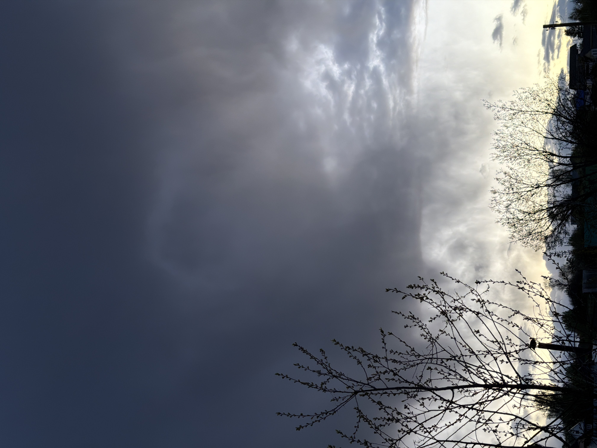Sauna activities and dramatic skies documented in Фоки, Russia
