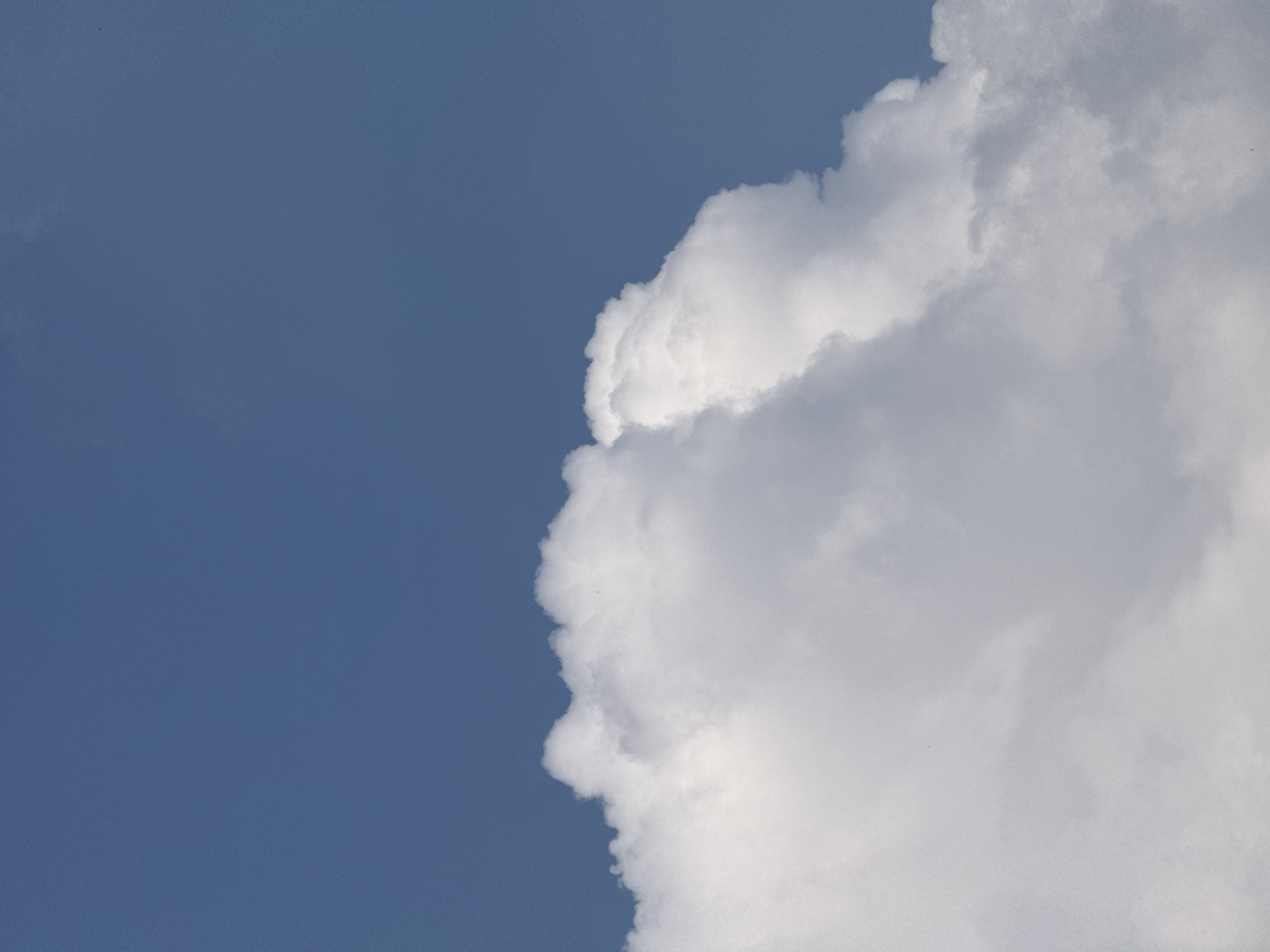 Milan resident documents afternoon clouds and local apartment architecture