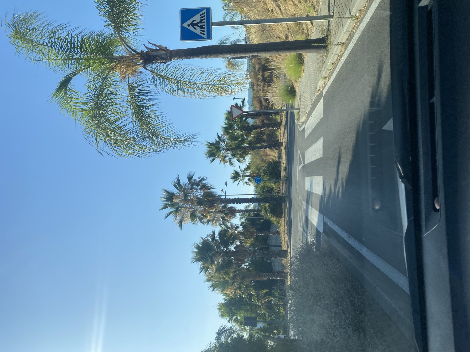 Horse riding past palm trees and crossings in sunny Estepona