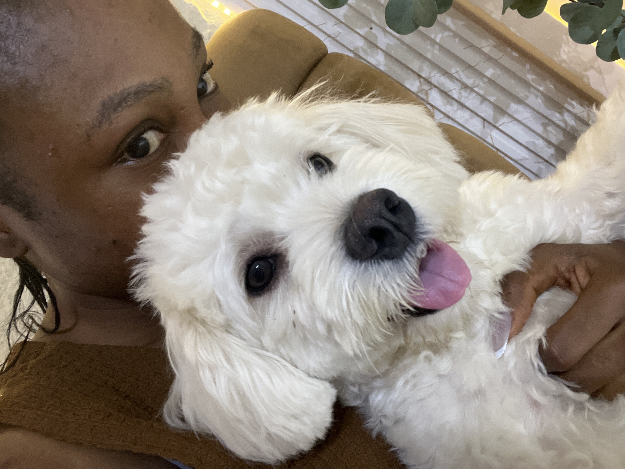 Lazy morning at home in Abuja with a hungry little dog