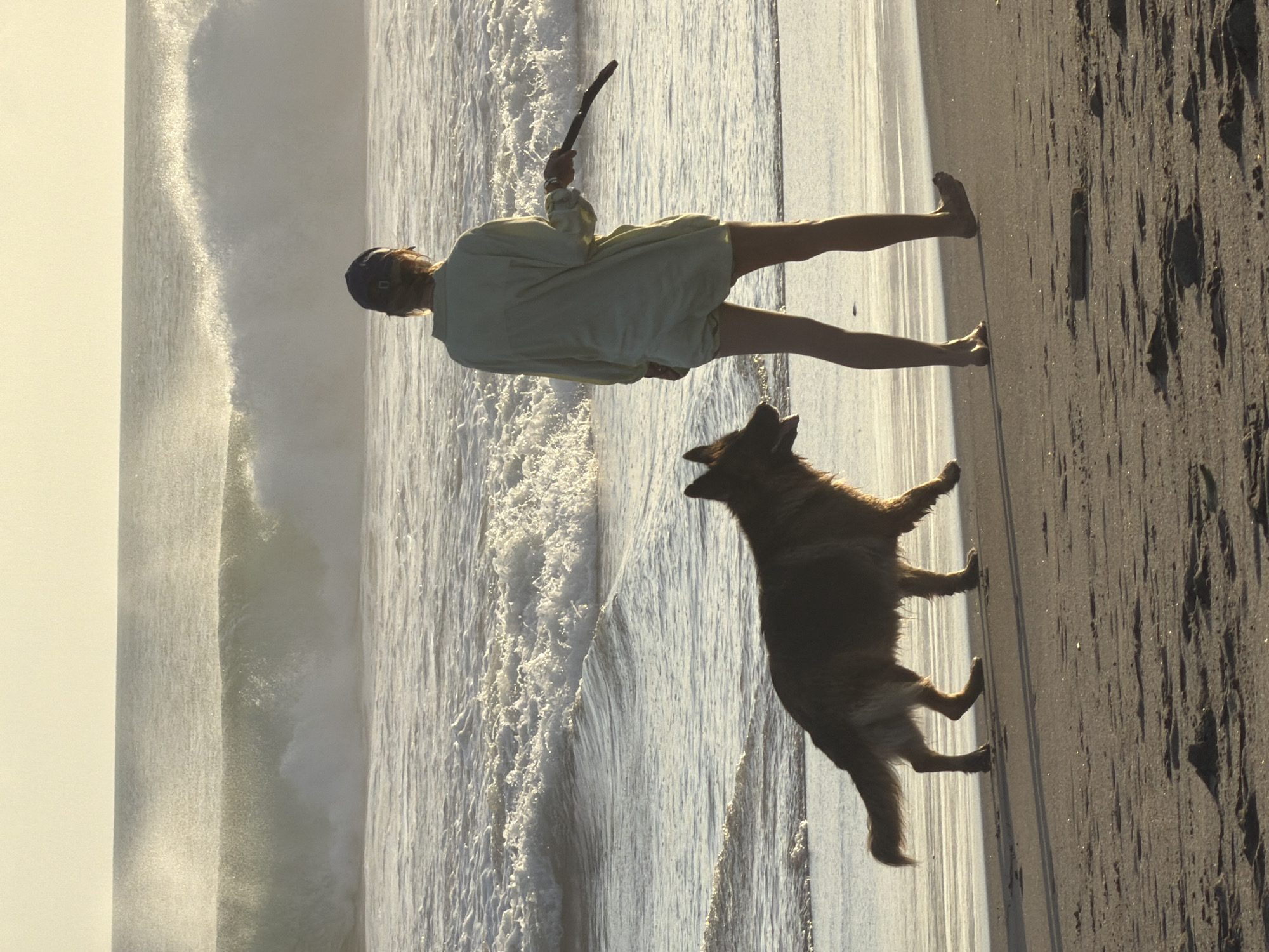 Sunset beach walk with a German Shepherd, North Kuta Bali