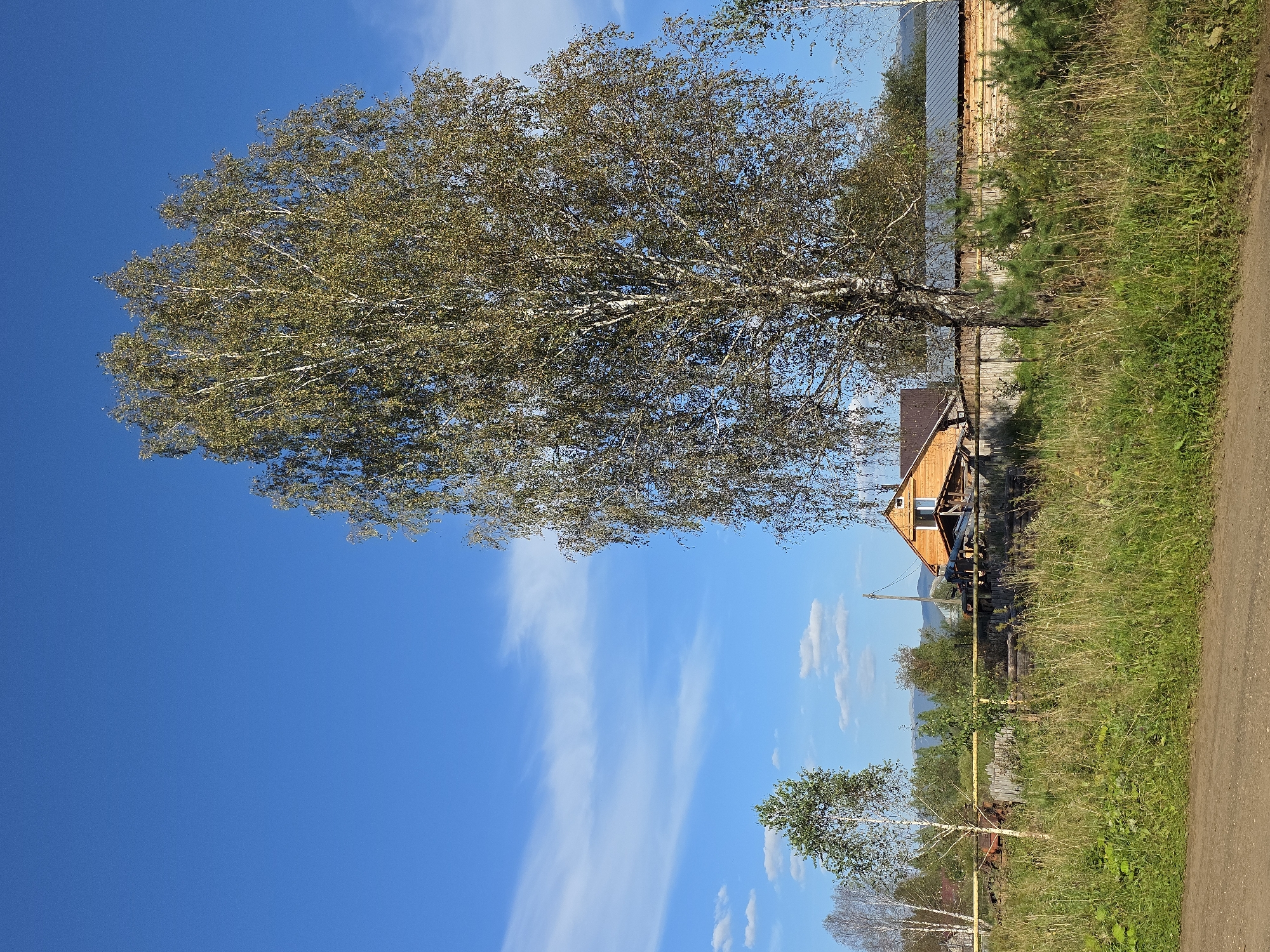 Summer stroll through Magnitka's forests, fields, and cemetery