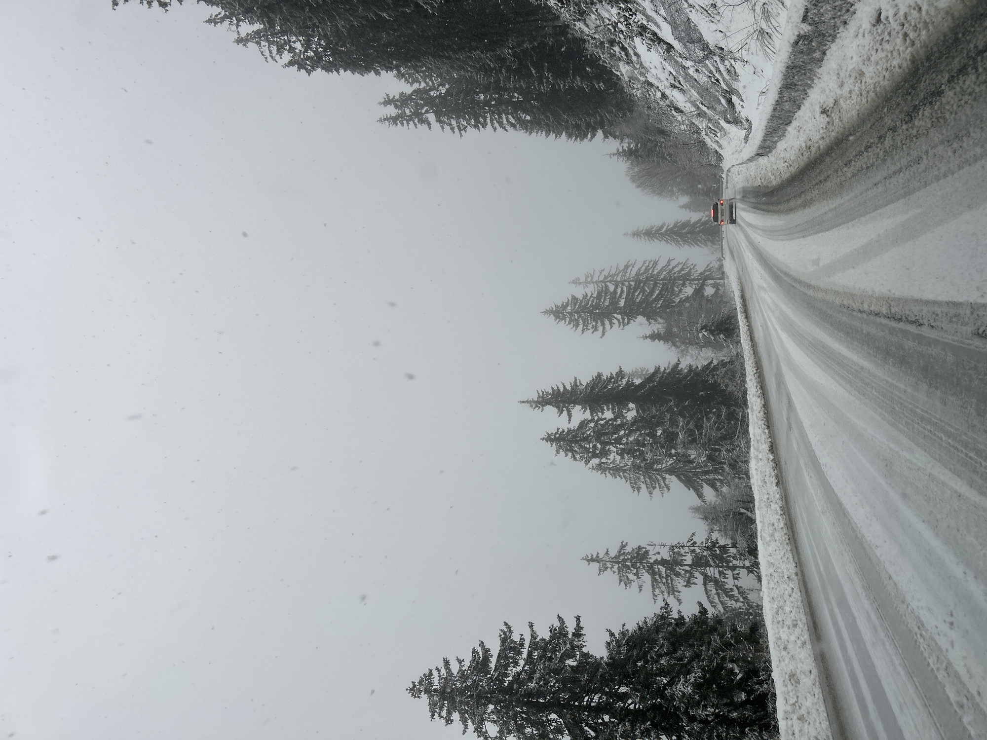 Snow-covered mountain road shows vehicle tracks in Bulgaria forest