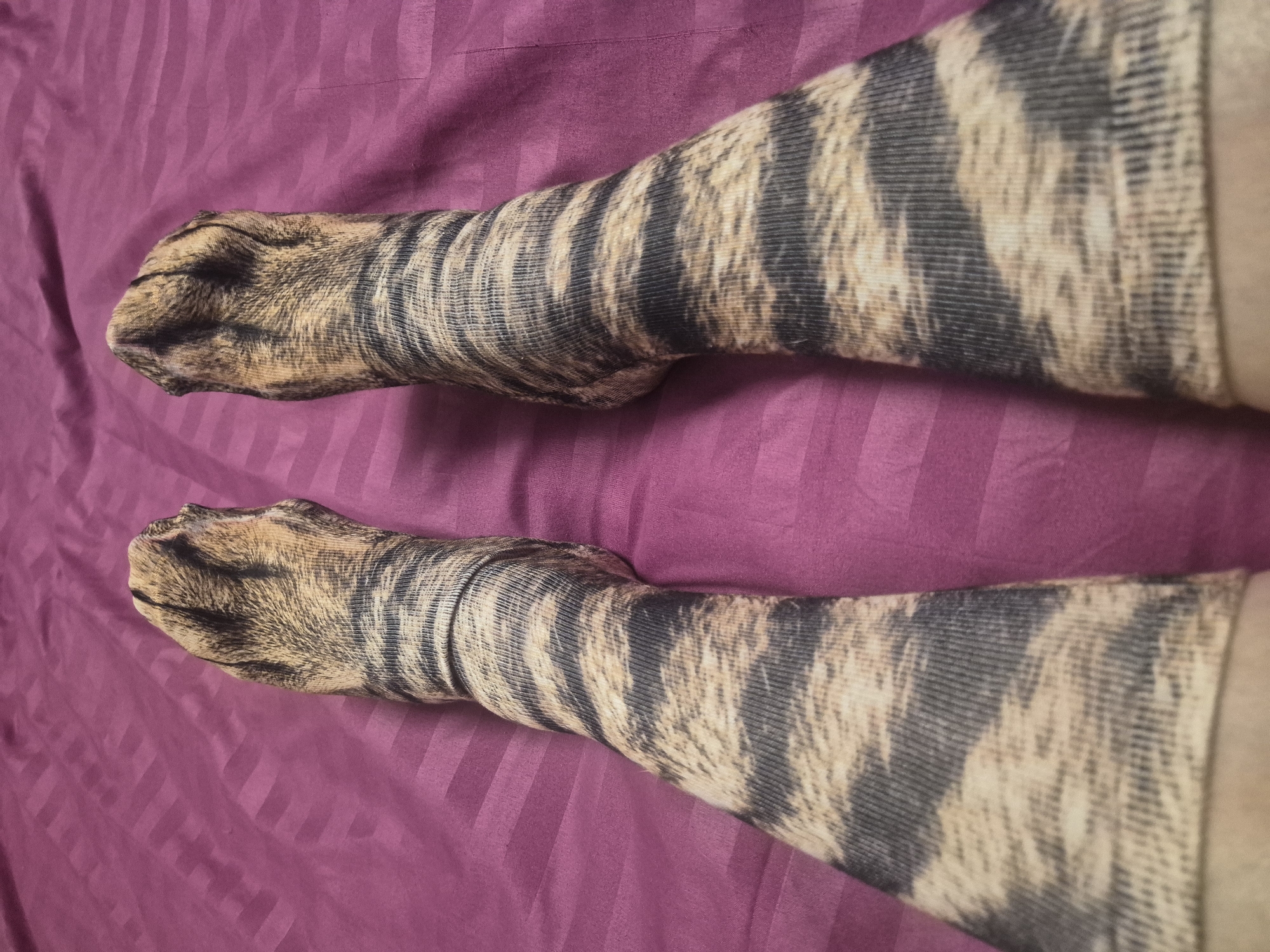 Cat-themed clothing items documented in personal fashion display
