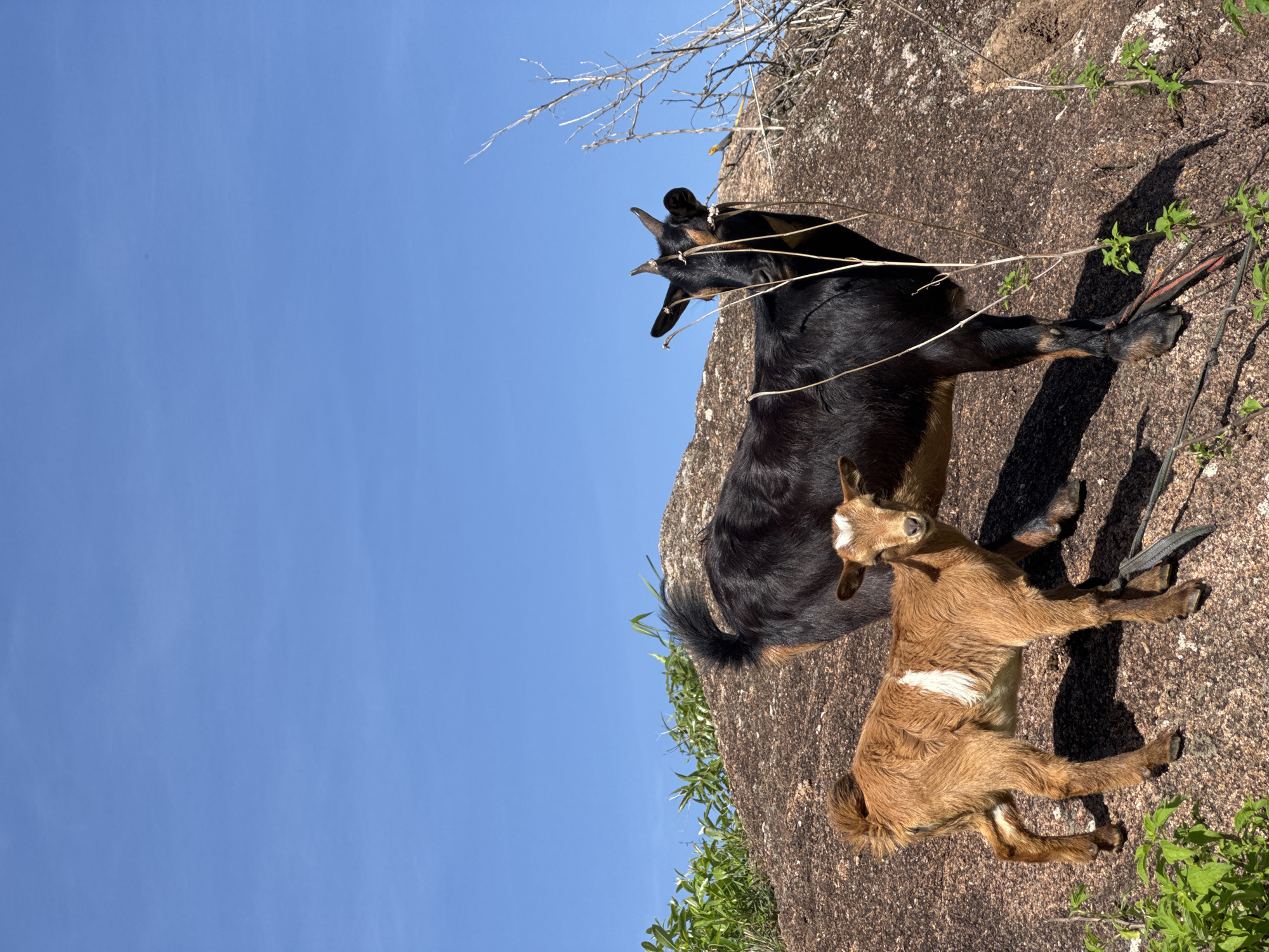 Street life and everyday movement in Jos, Nigeria