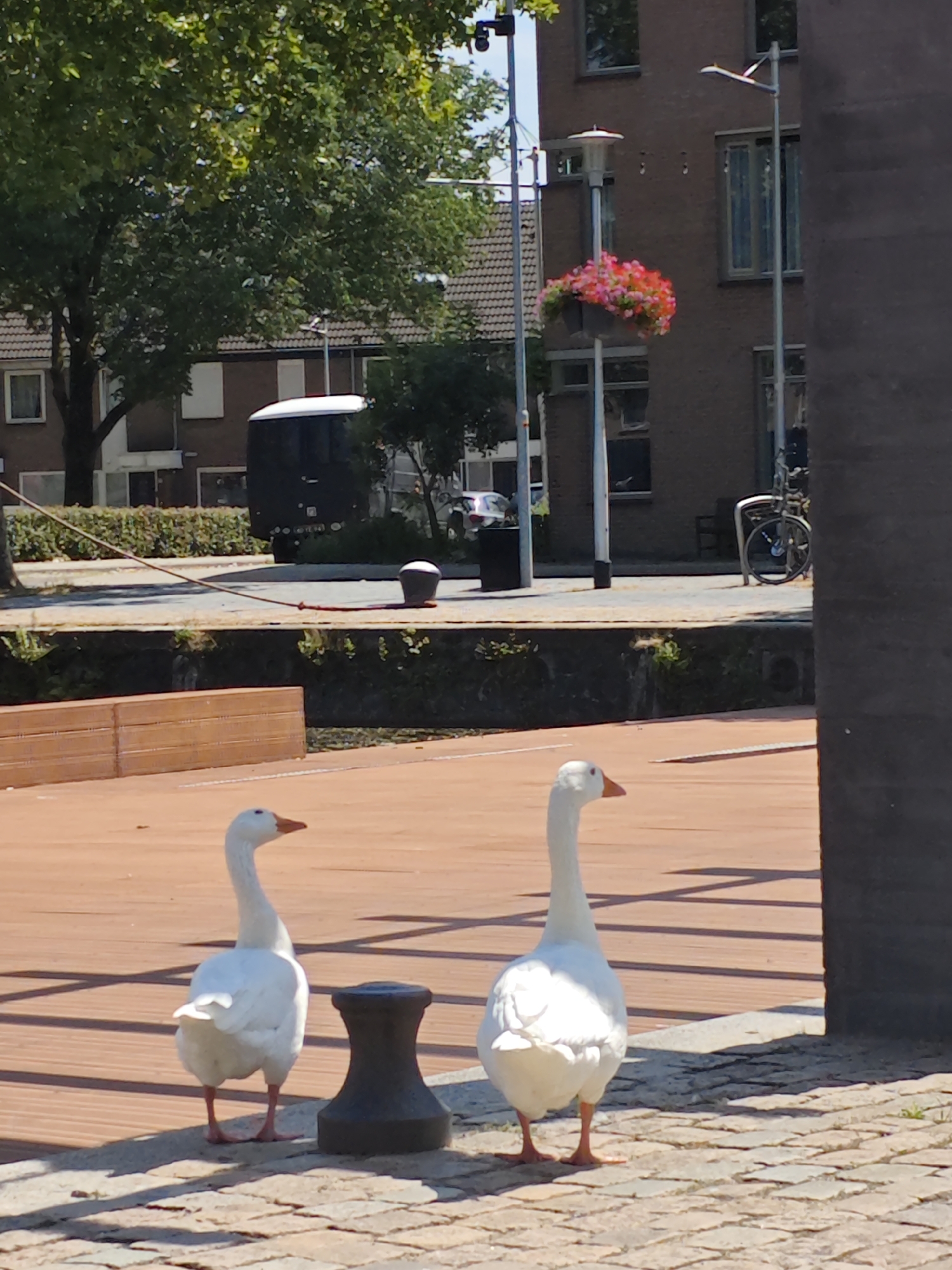 Lazy summer afternoon at Tilburg's Spoorzone canal